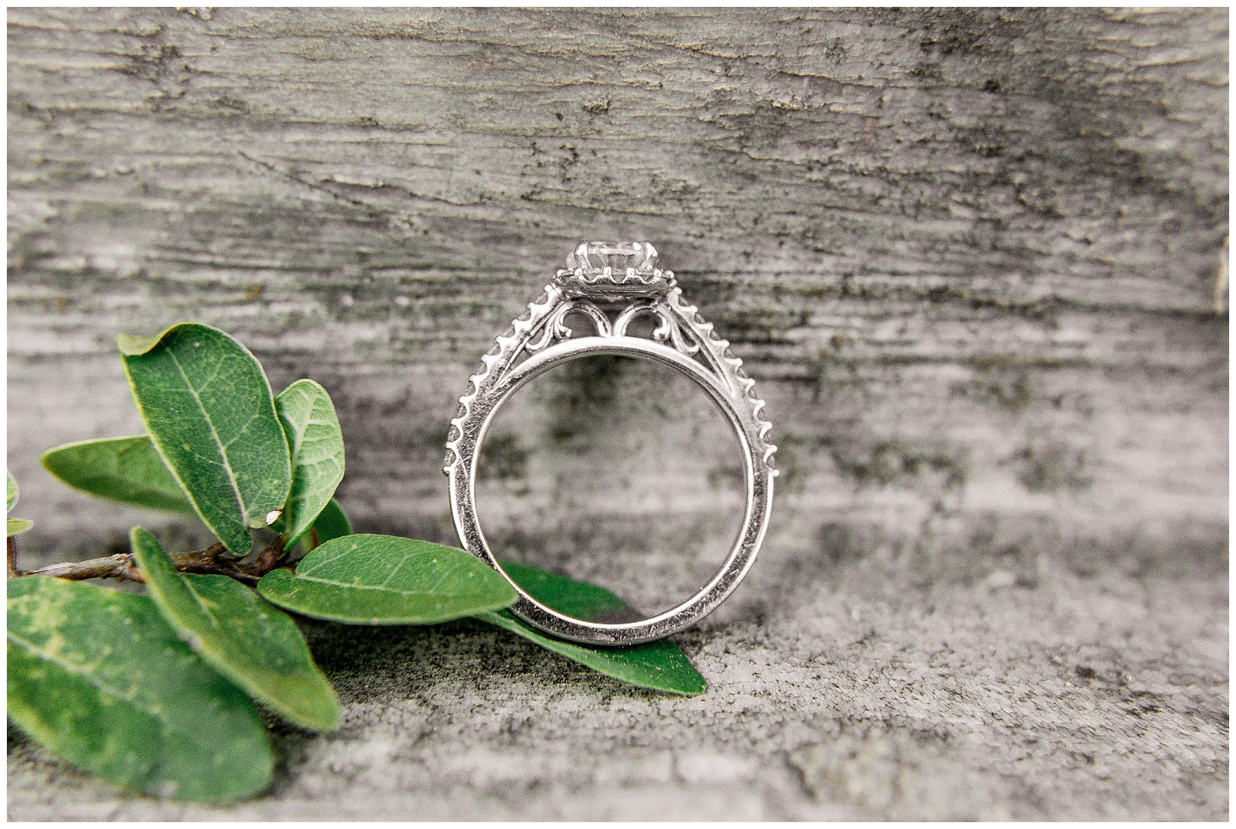 South carolina engagement session-southern plantation engagement session-south carolina wedding photographer-tiffany l johnson photography_0026.jpg