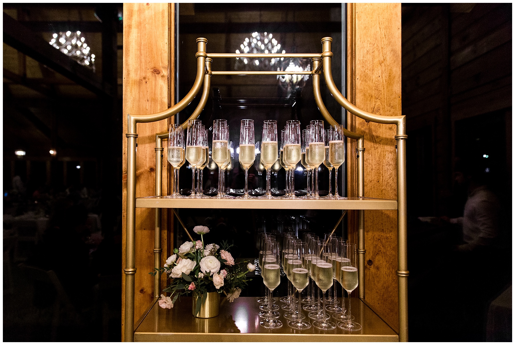 The pavilion at carriage farm wedding day-raleigh nc wedding-tiffany l johnson photography-nc wedding photographer_0204.jpg