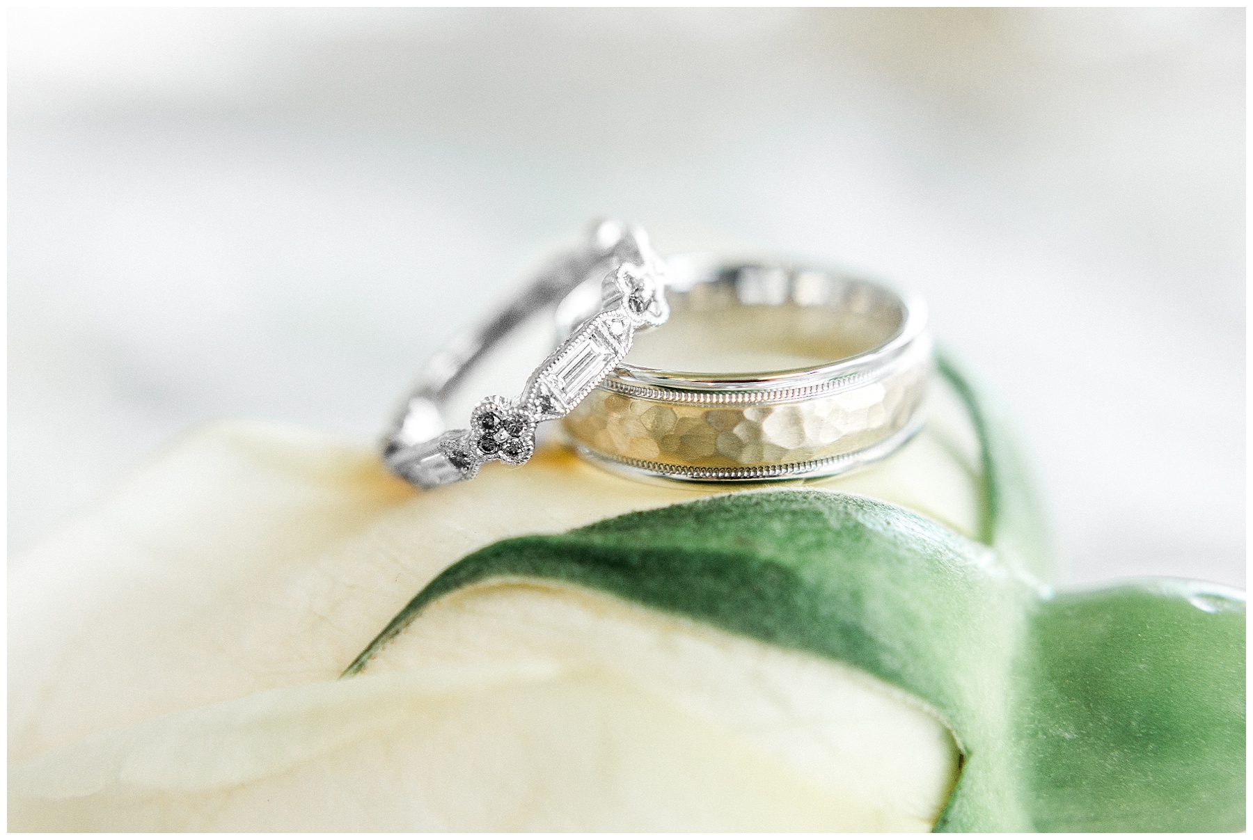 oakland farm wedding-raleigh nc wedding-tiffany l johnson photography_0012.jpg