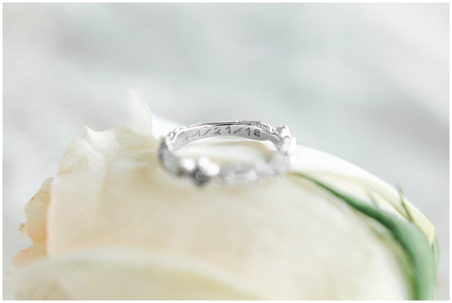 oakland farm wedding-raleigh nc wedding-tiffany l johnson photography_0020.jpg