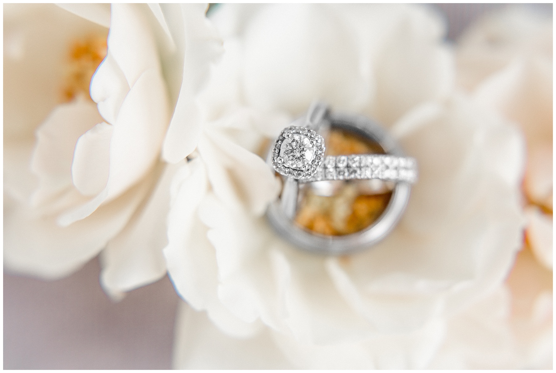 Highgrove Estate wedding day-raleigh wedding photographer-tiffany l johnson photography_0006.jpg