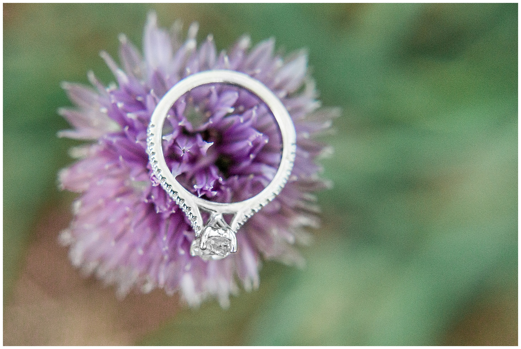 historic oak view park engagement session - raleigh nc engagement session-tiffany l johnson photography_0008.jpg