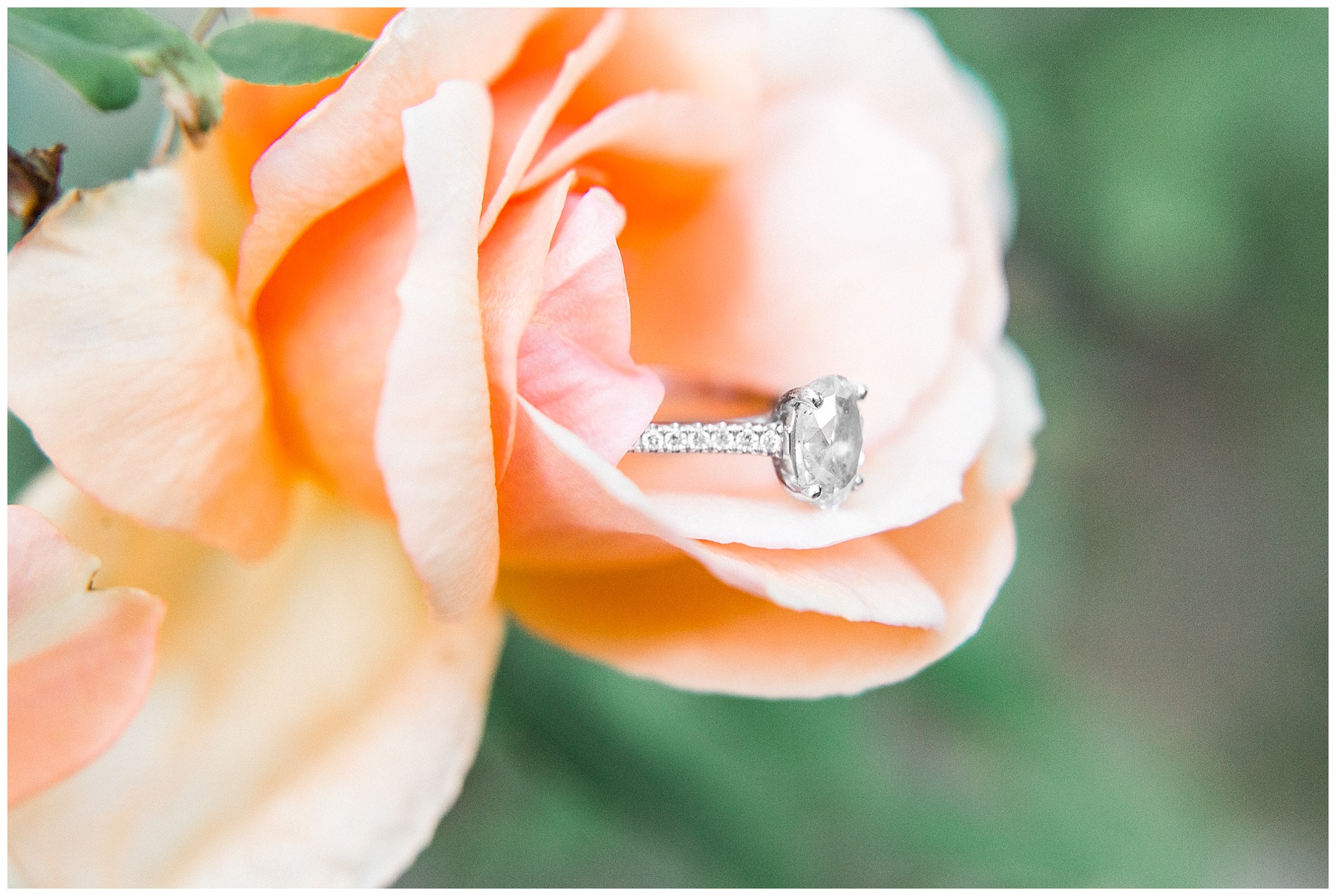 historic oak view park engagement session - raleigh nc engagement session-tiffany l johnson photography_0038.jpg