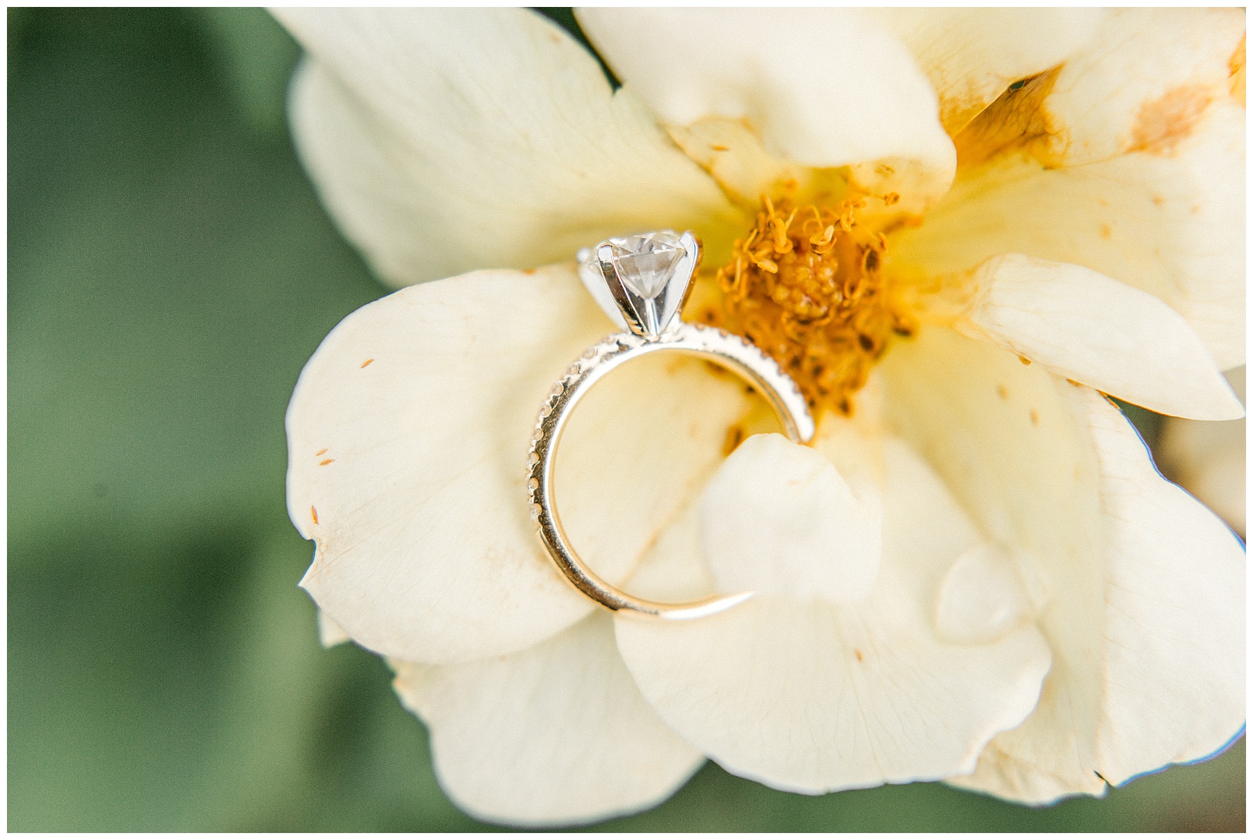 north carolina museum of art engagement session-tiffany l johnson photography-raleigh photographer_0009.jpg