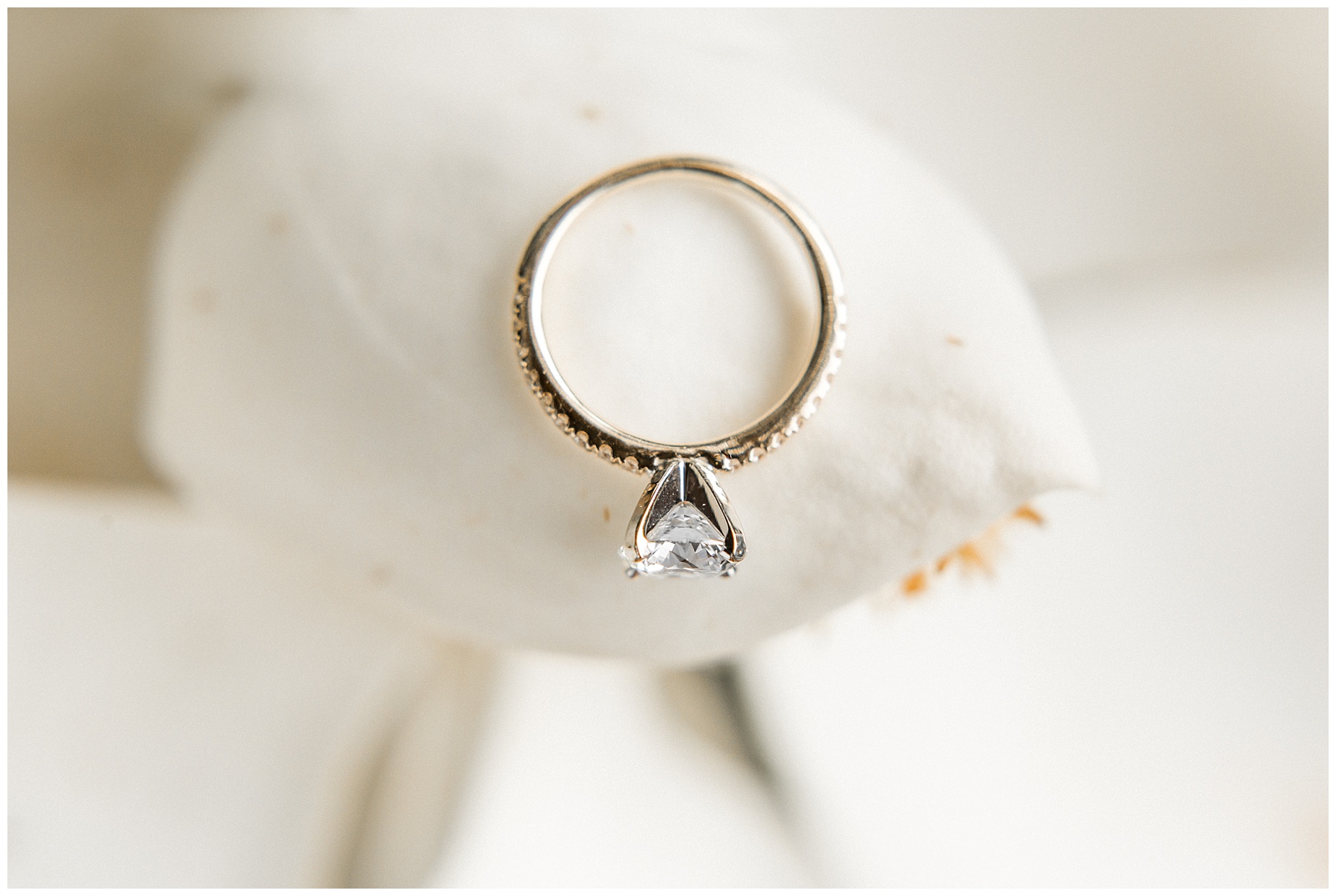 north carolina museum of art engagement session-tiffany l johnson photography-raleigh photographer_0048.jpg