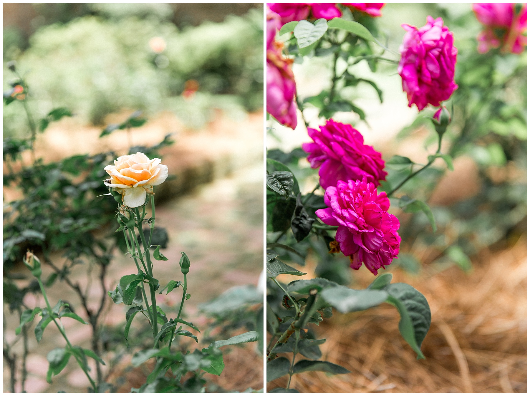 the leaning tree wedding day-raleigh wedding photographer-tiffany l johnson photography_0120.jpg