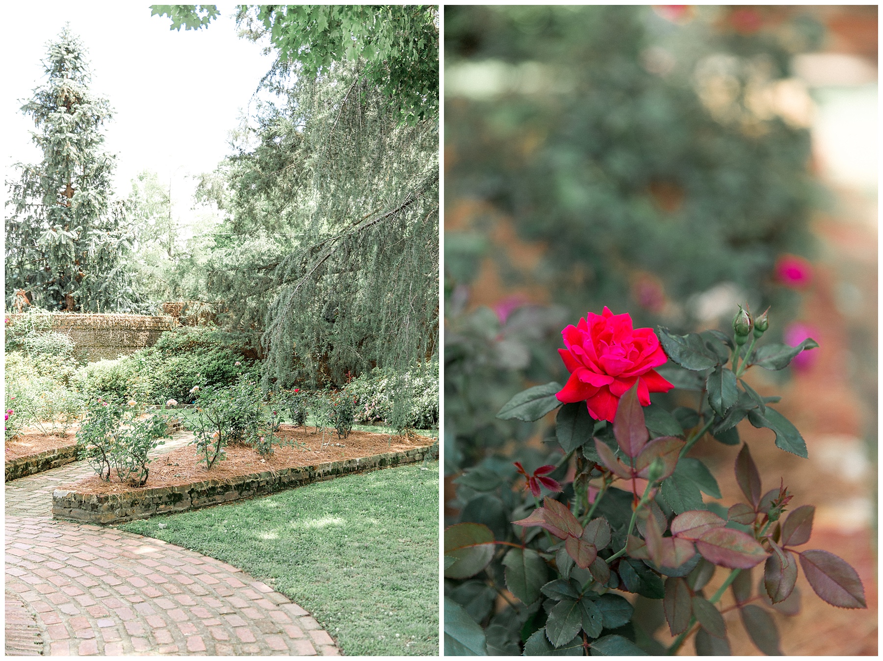 the leaning tree wedding day-raleigh wedding photographer-tiffany l johnson photography_0177.jpg