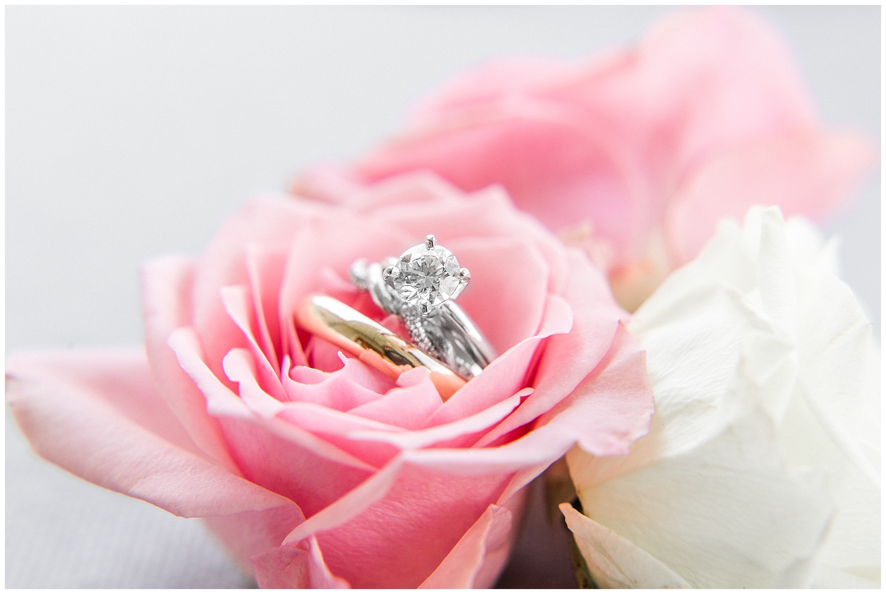 farm wedding day-raleigh nc wedding-tiffany l johnson photography_0004.jpg