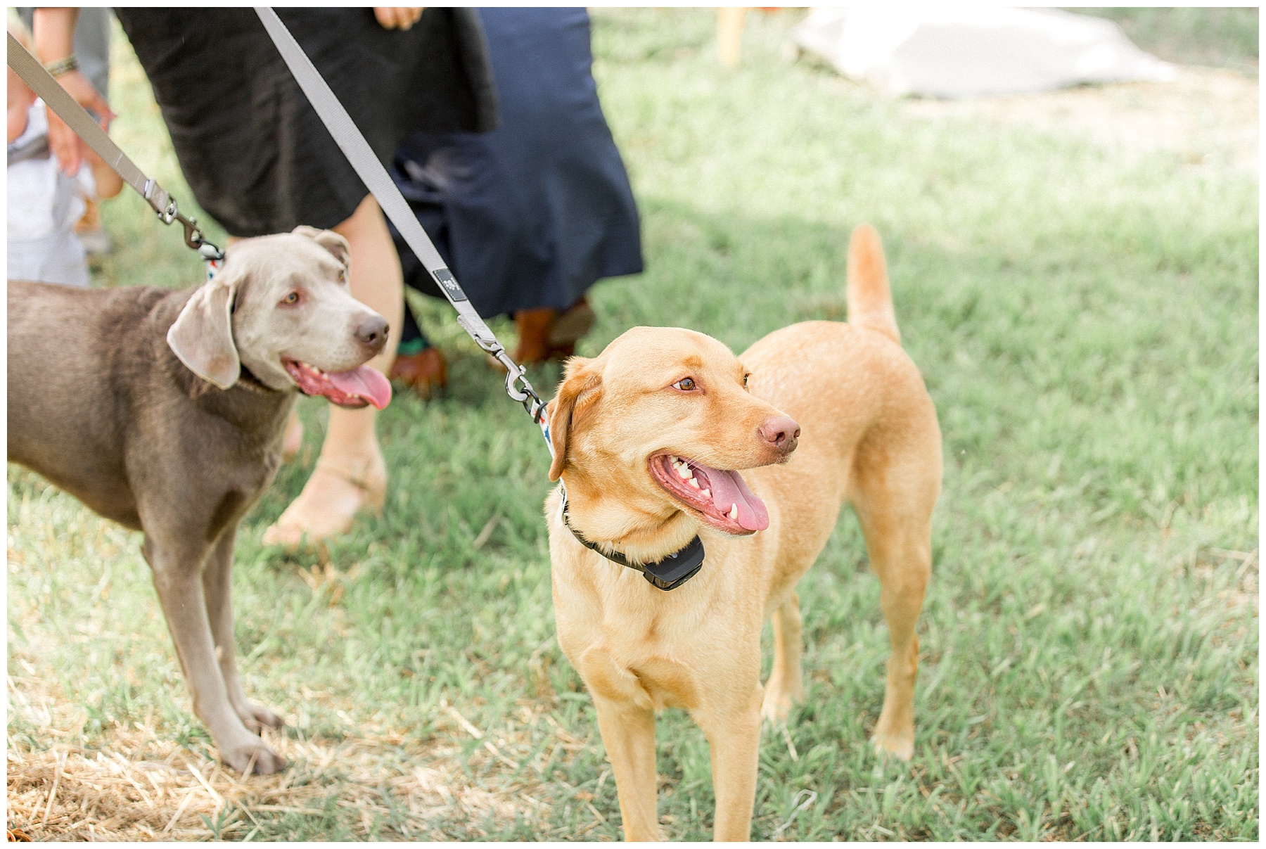 farm wedding day-raleigh nc wedding-tiffany l johnson photography_0087.jpg