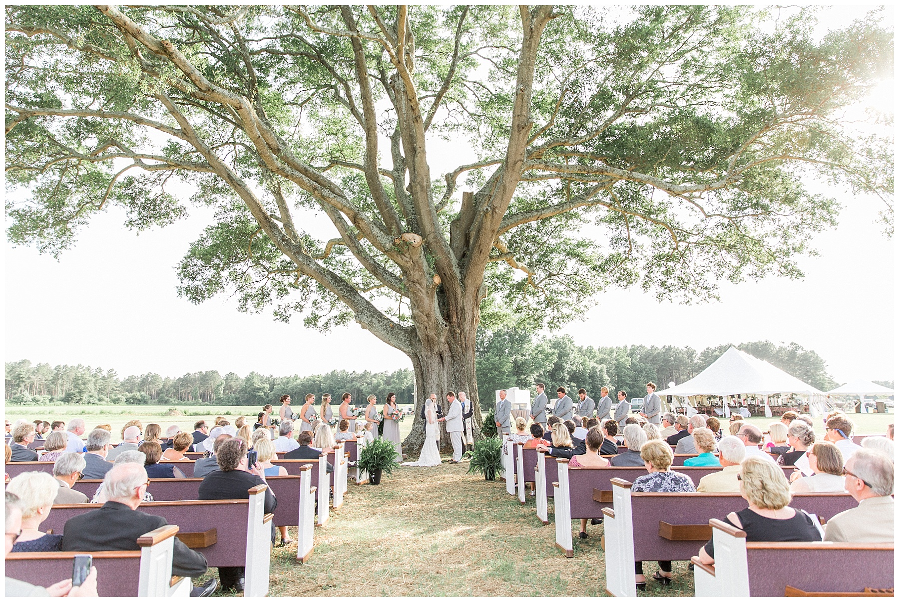 farm wedding day-raleigh nc wedding-tiffany l johnson photography_0092.jpg