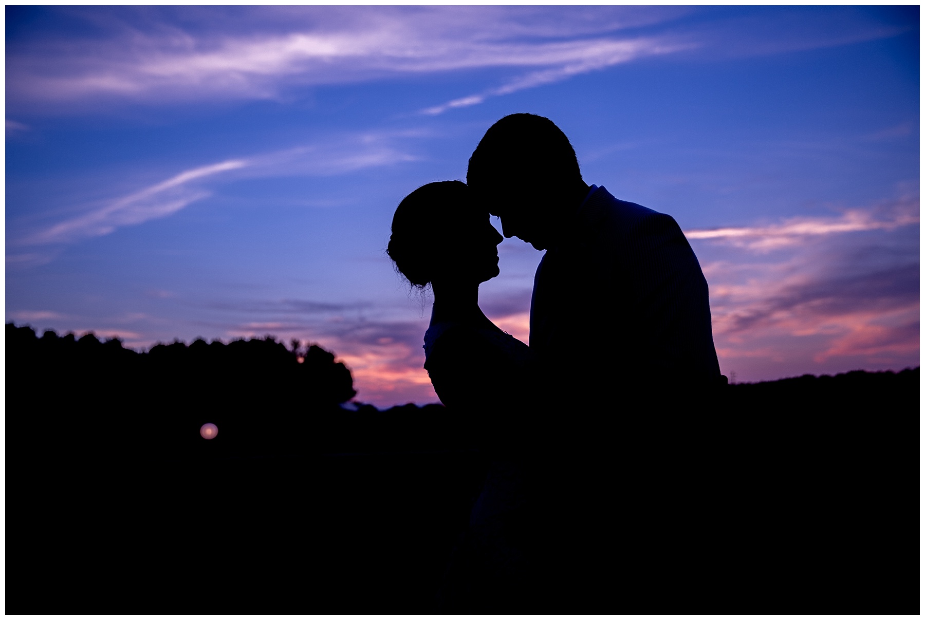 farm wedding day-raleigh nc wedding-tiffany l johnson photography_0134.jpg