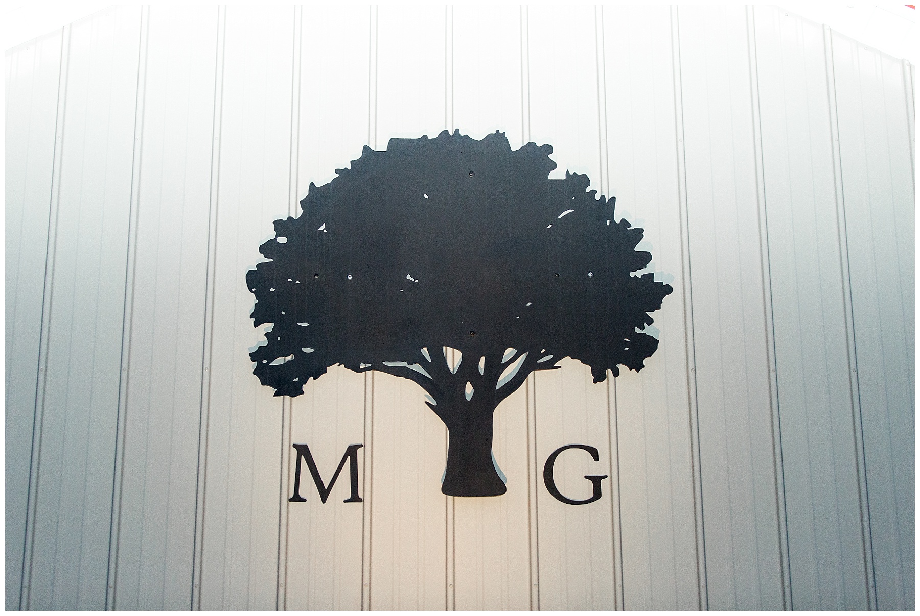 farm wedding day-raleigh nc wedding-tiffany l johnson photography_0154.jpg