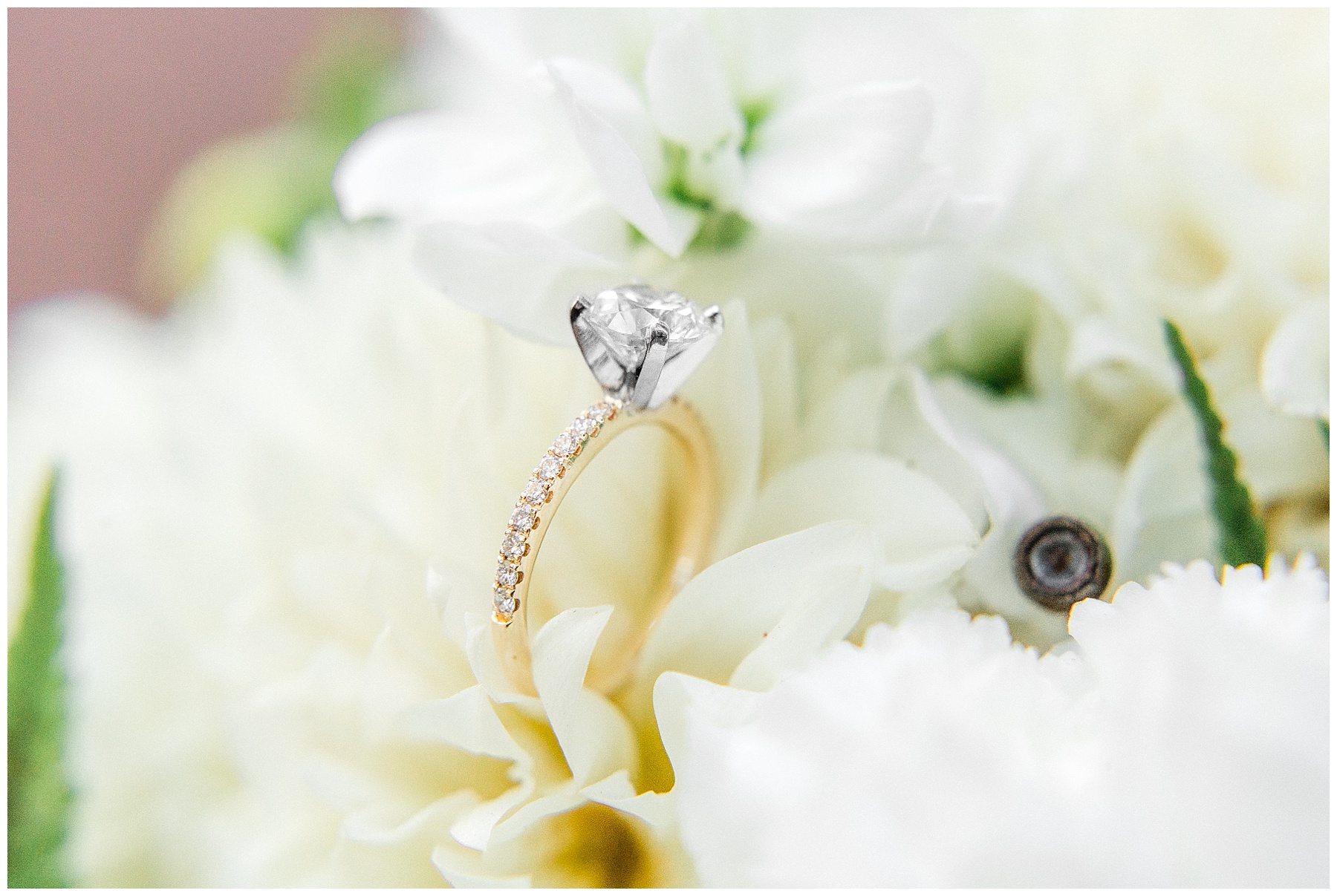 Meredith College Bridal Session-Tiffany L Johson Photography-Raleigh NC Wedding Photographer_0002.jpg