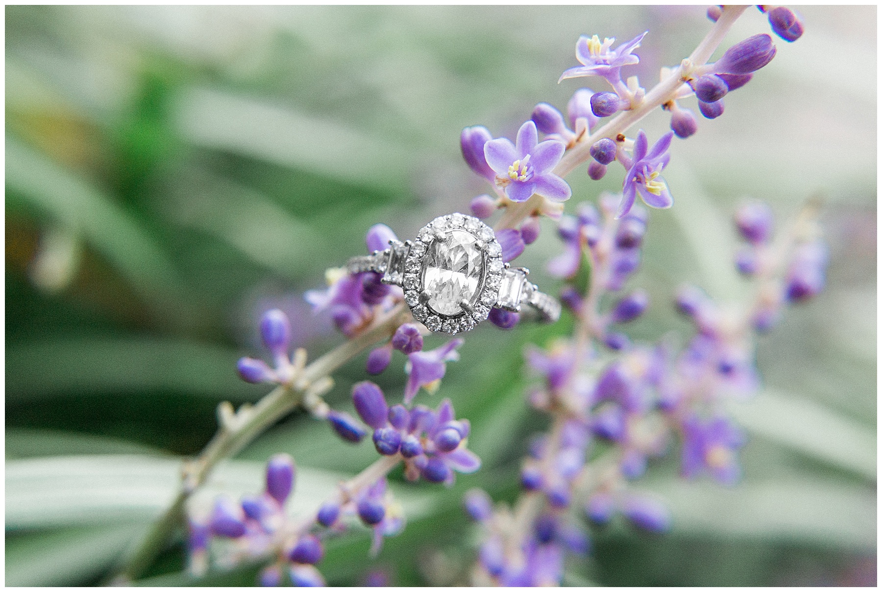 Historic Oak Park Engagement Session-Raleigh NC Wedding Photographer-tiffany l johnson photography_0009.jpg