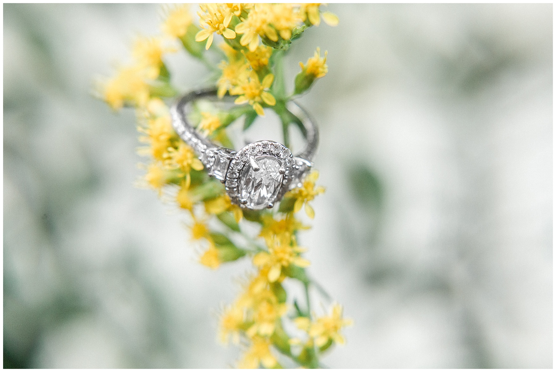 Historic Oak Park Engagement Session-Raleigh NC Wedding Photographer-tiffany l johnson photography_0047.jpg