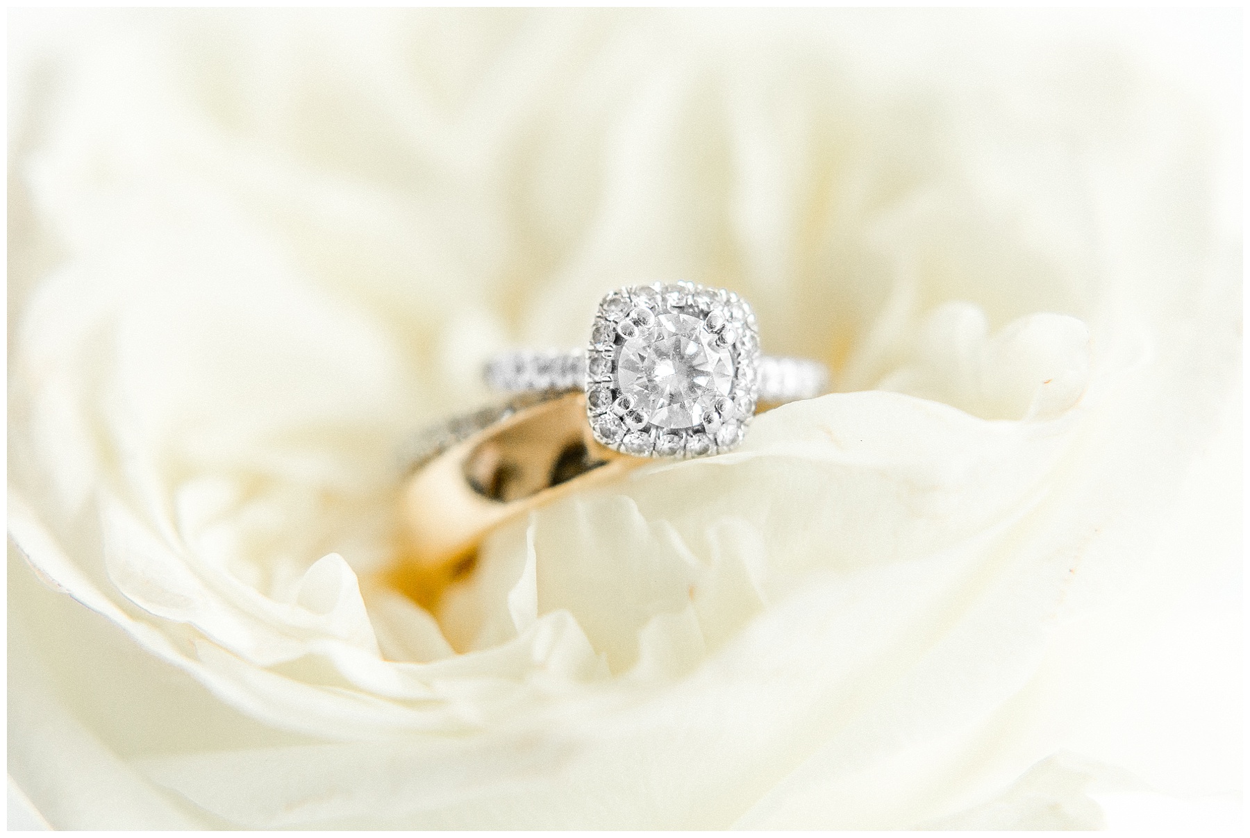 rose hill plantation wedding - rose hill wedding photographer - tiffany l johnson photography_0009.jpg