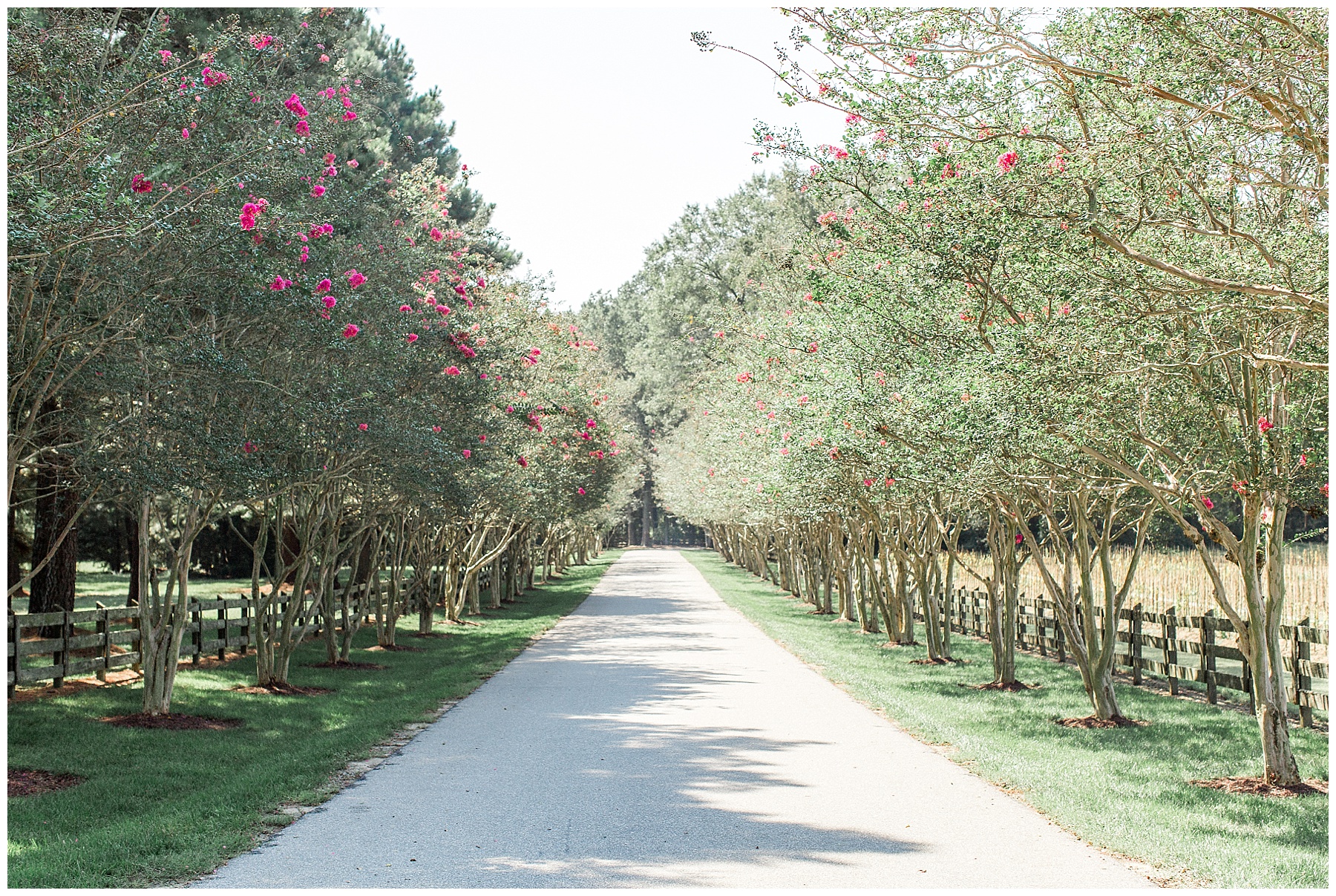 rose hill plantation wedding - rose hill wedding photographer - tiffany l johnson photography_0014.jpg