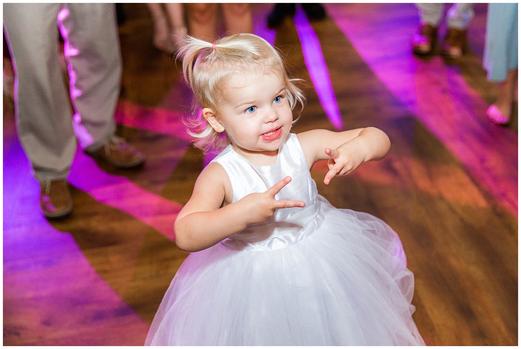 rose hill plantation wedding - rose hill wedding photographer - tiffany l johnson photography_0189.jpg