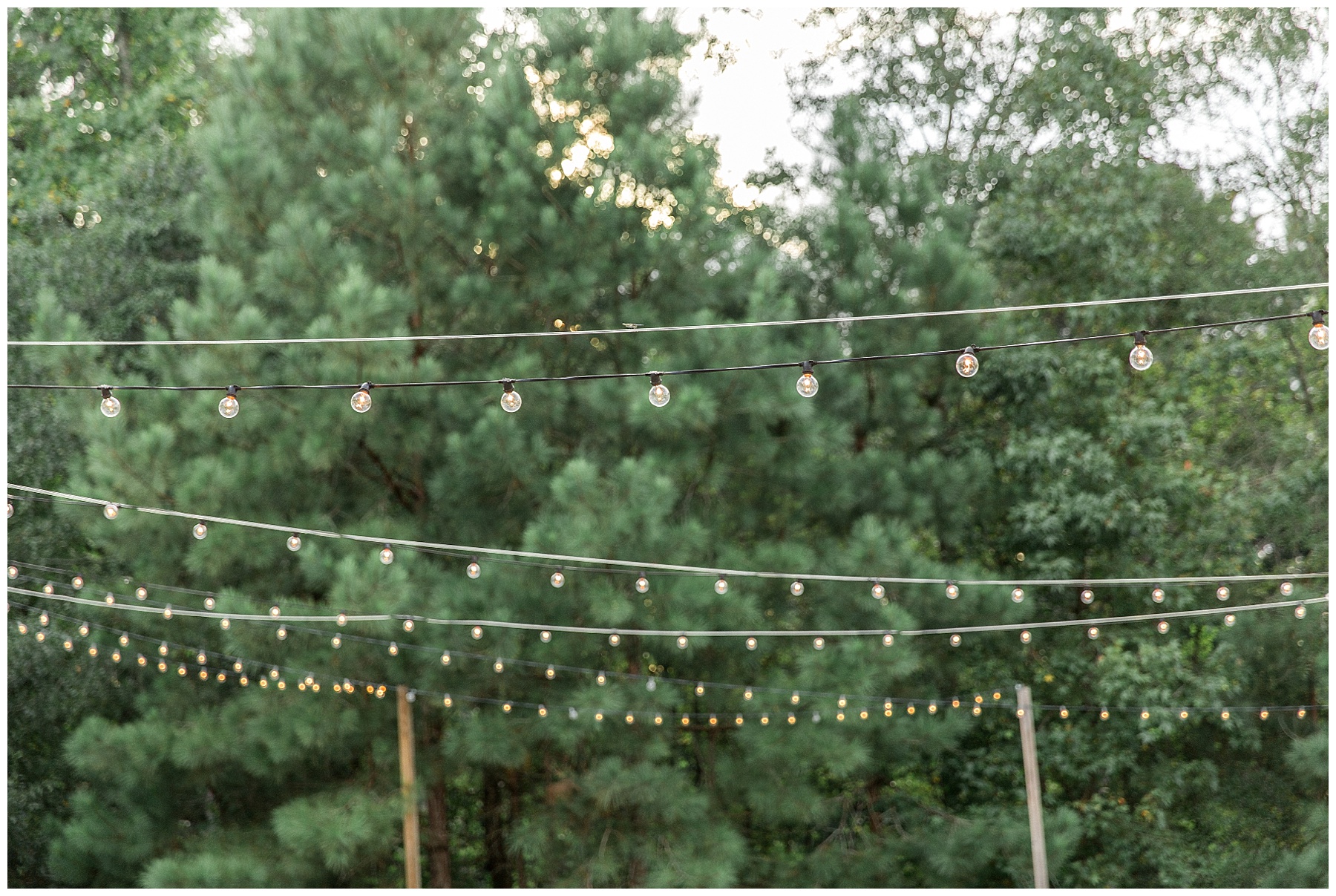 the bradford wedding day-raleigh nc wedding photographer-tiffany l johnson photography_0181.jpg