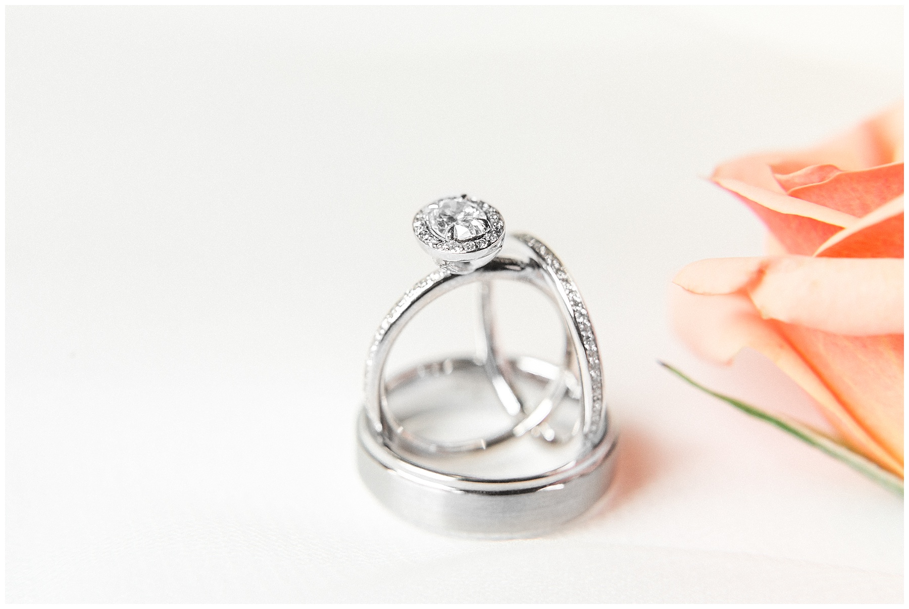 Wilson nc wedding photography - tiffany l johnson photography_0015.jpg