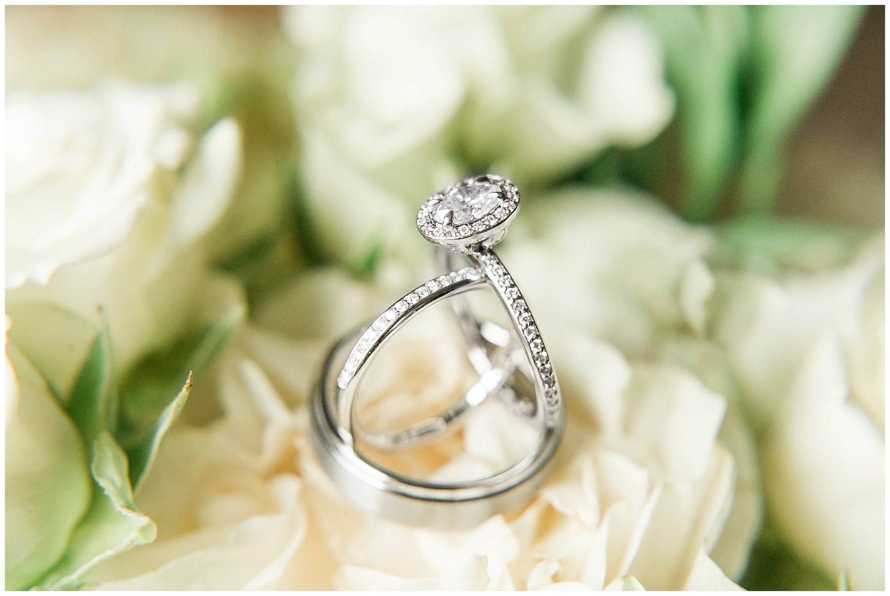 Wilson nc wedding photography - tiffany l johnson photography_0018.jpg