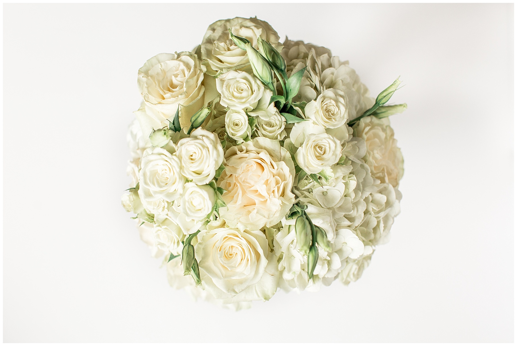 Wilson nc wedding photography - tiffany l johnson photography_0022.jpg