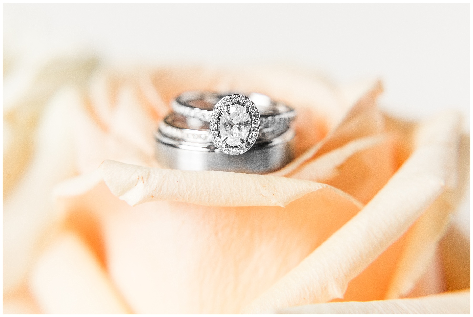 Wilson nc wedding photography - tiffany l johnson photography_0024.jpg