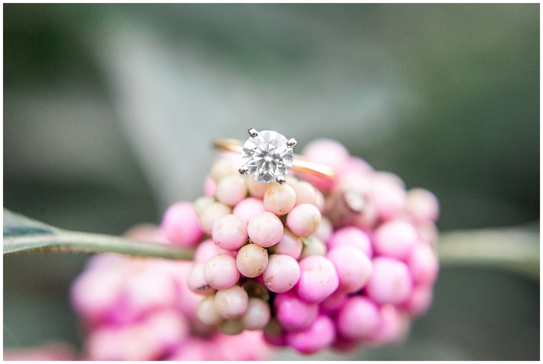 raleigh engagement session - raleigh engagement photographer - tiffany l johnson photography_0028.jpg