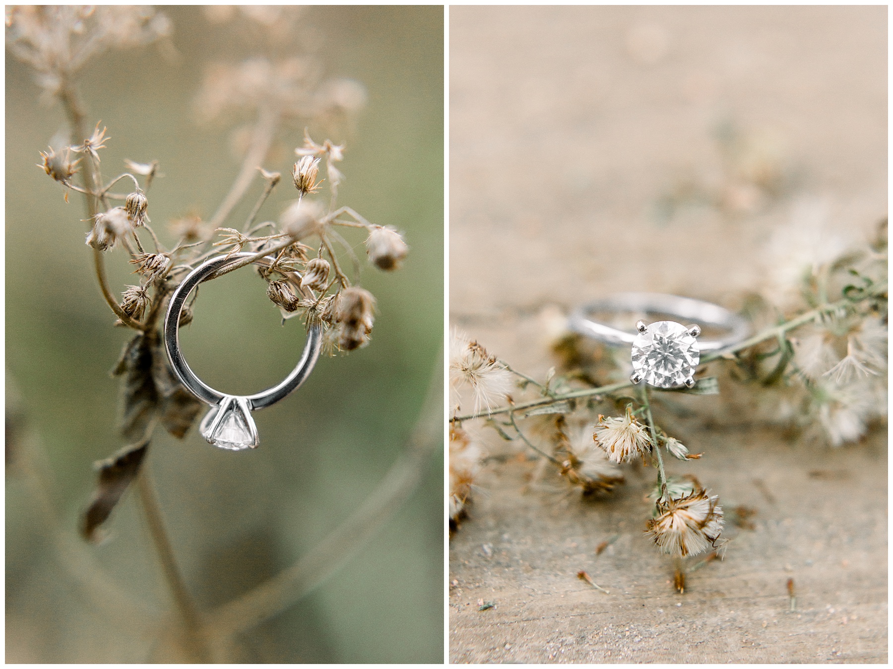 UNC Chapel hill engagement session - chapel hill wedding photographer - tiffany l johnson photography_0066.jpg