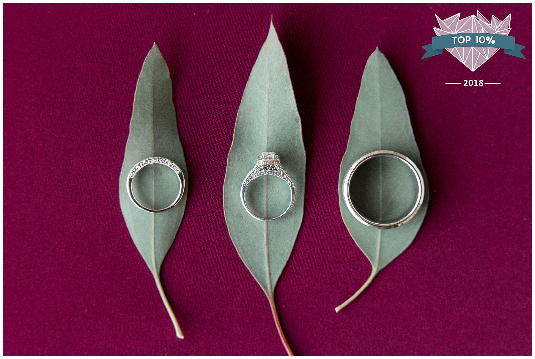 shoot and share winners - tiffany l johnson photography_0005.jpg