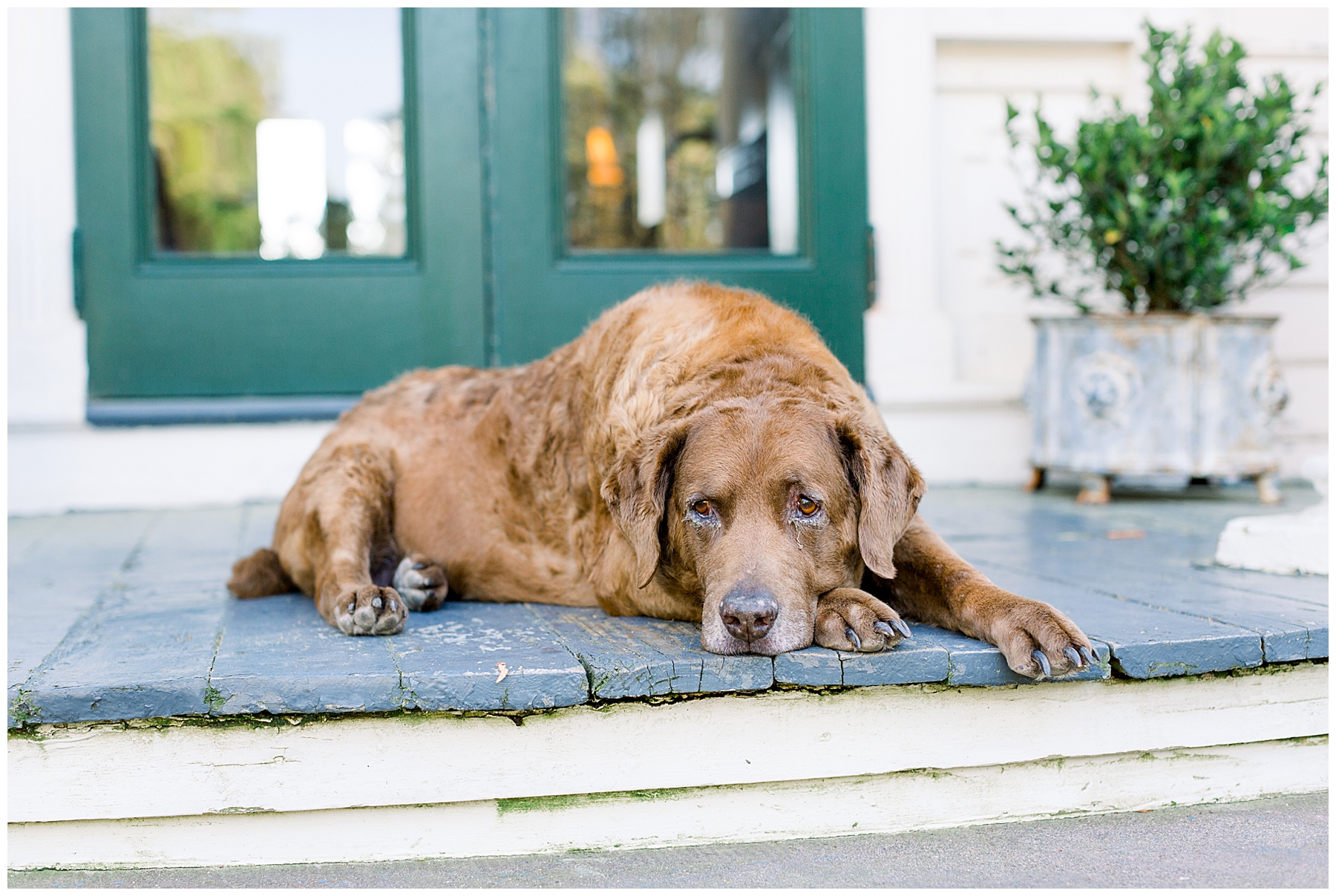 Edenton Engagement Session - tiffany l johnson photography - edenton wedding photography_0003.jpg