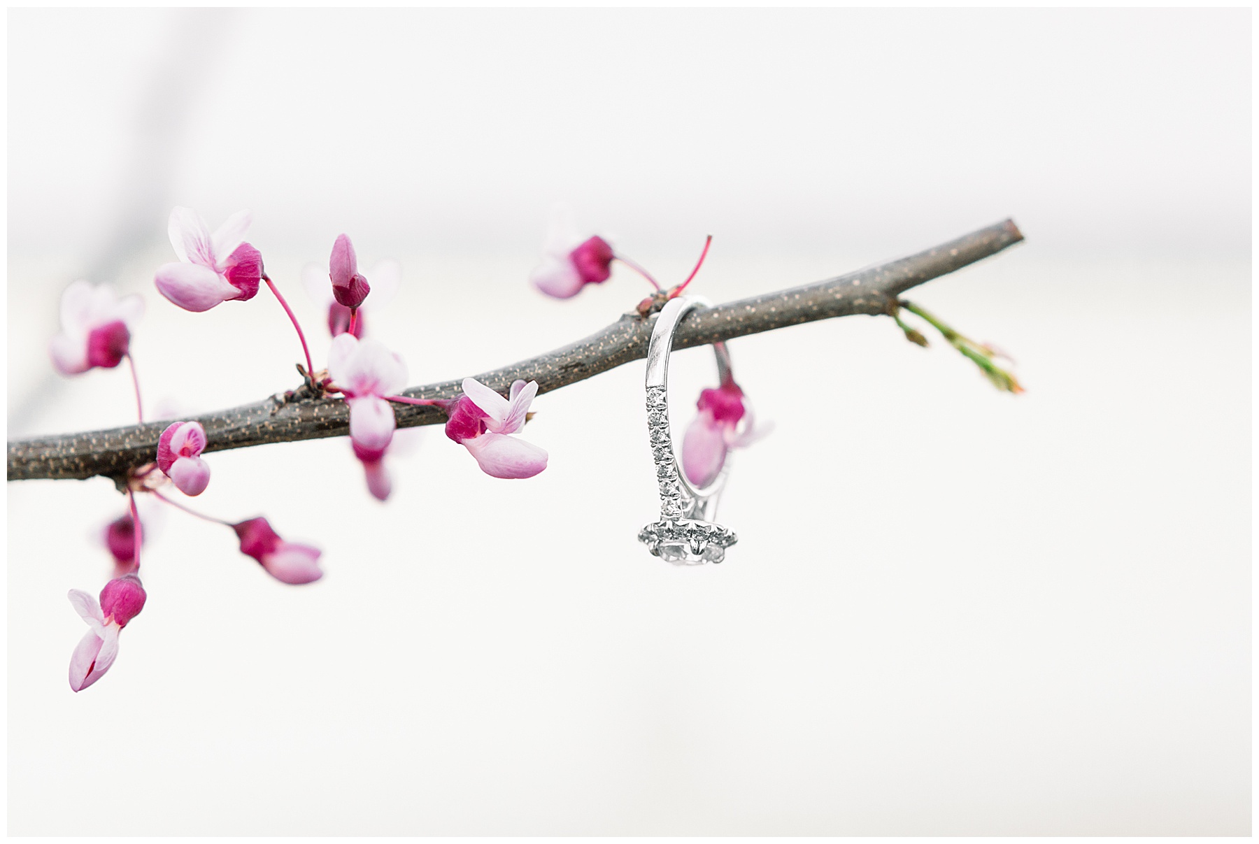 Historic Oak Engagement Session - raleigh nc engagement session - tiffany l johnson photography_0003.jpg
