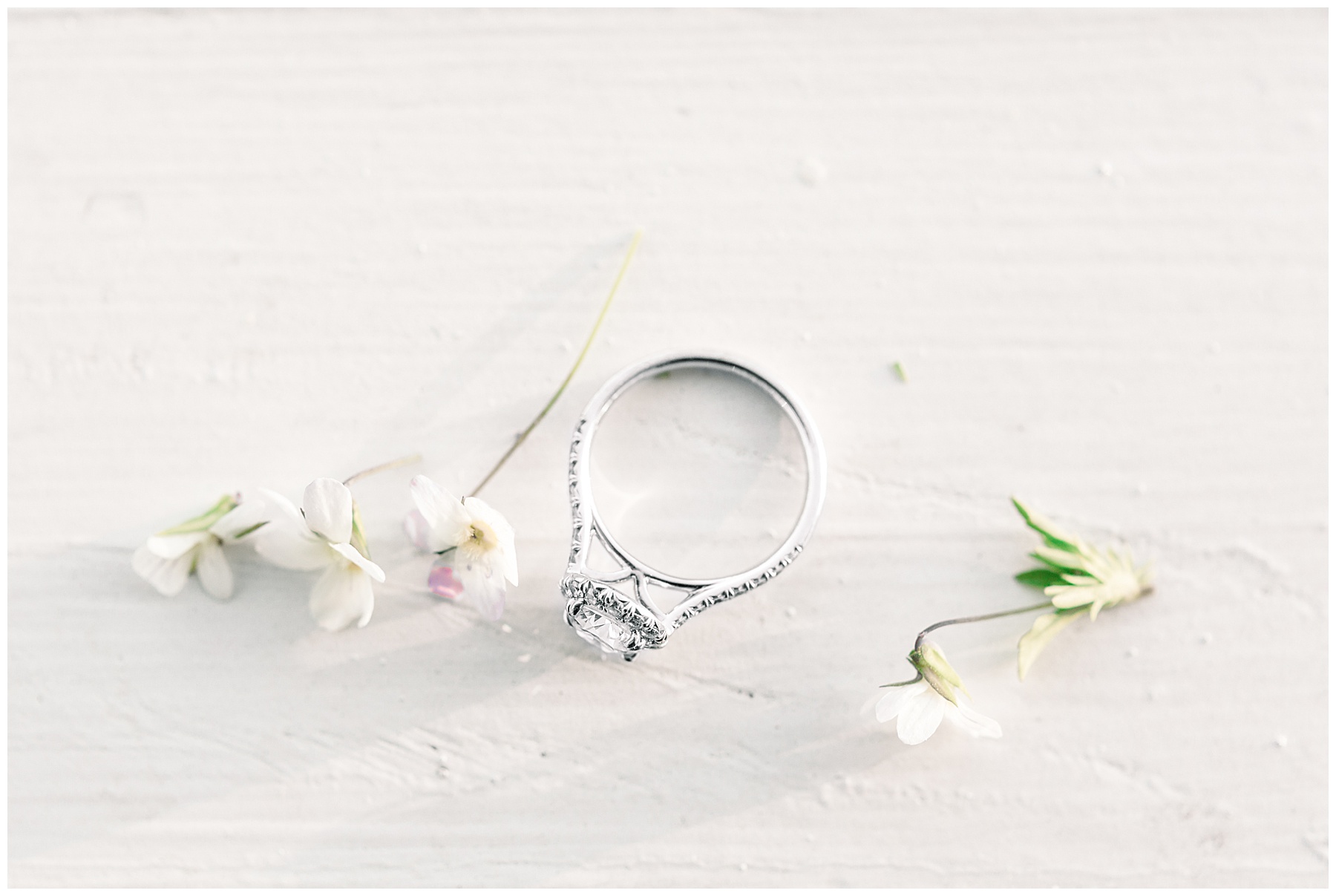 Historic Oak Engagement Session - raleigh nc engagement session - tiffany l johnson photography_0023.jpg