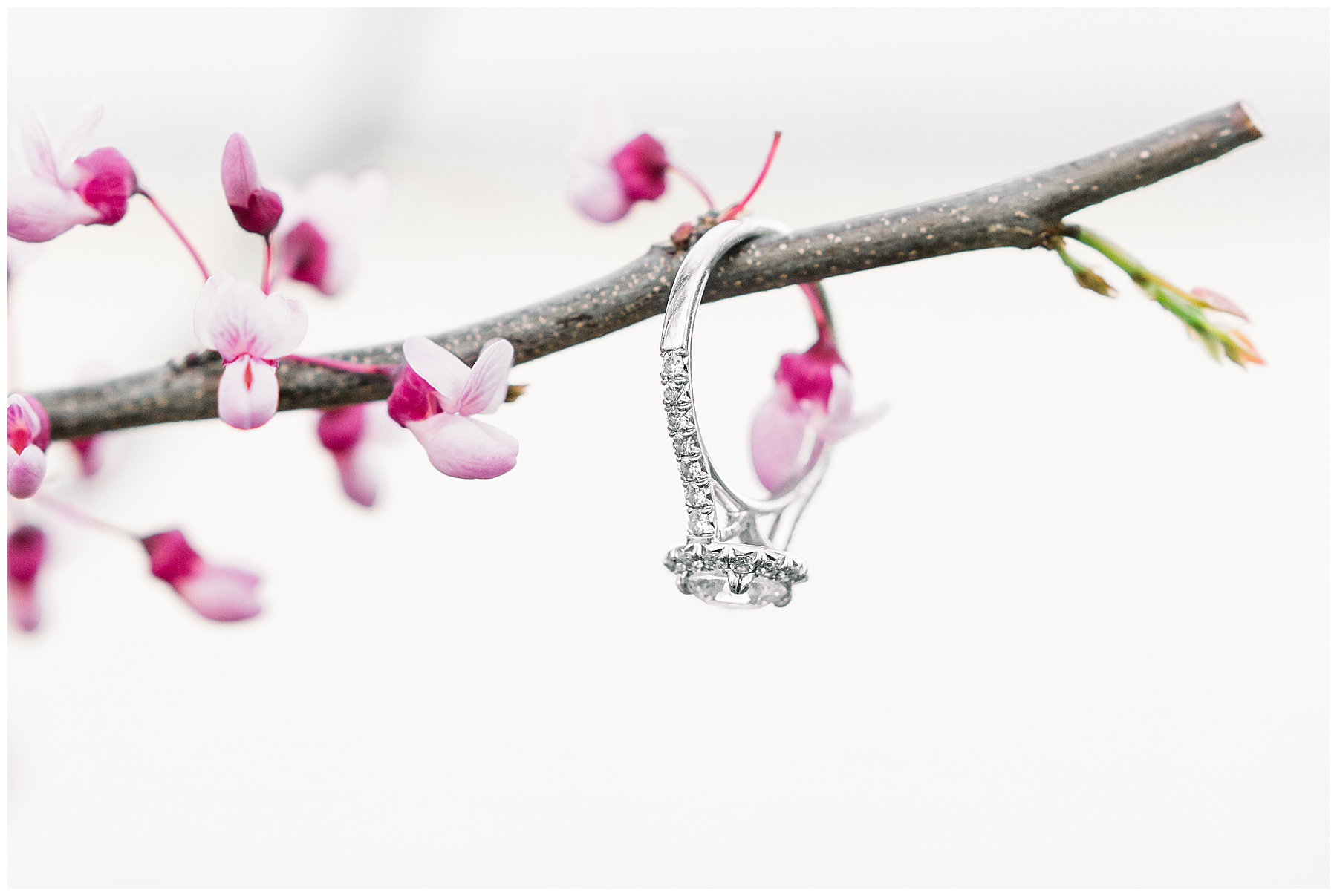 Historic Oak Engagement Session - raleigh nc engagement session - tiffany l johnson photography_0051.jpg