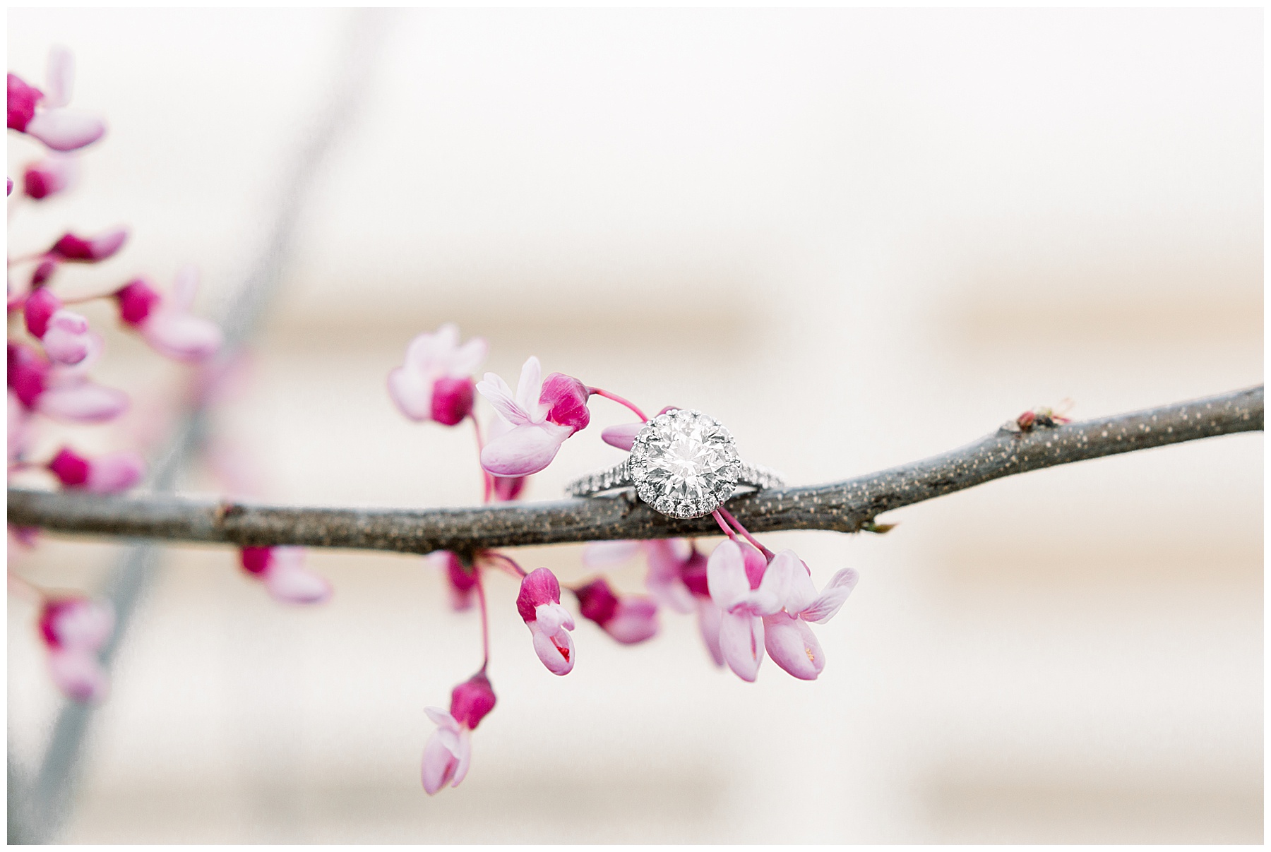 Historic Oak Engagement Session - raleigh nc engagement session - tiffany l johnson photography_0062.jpg