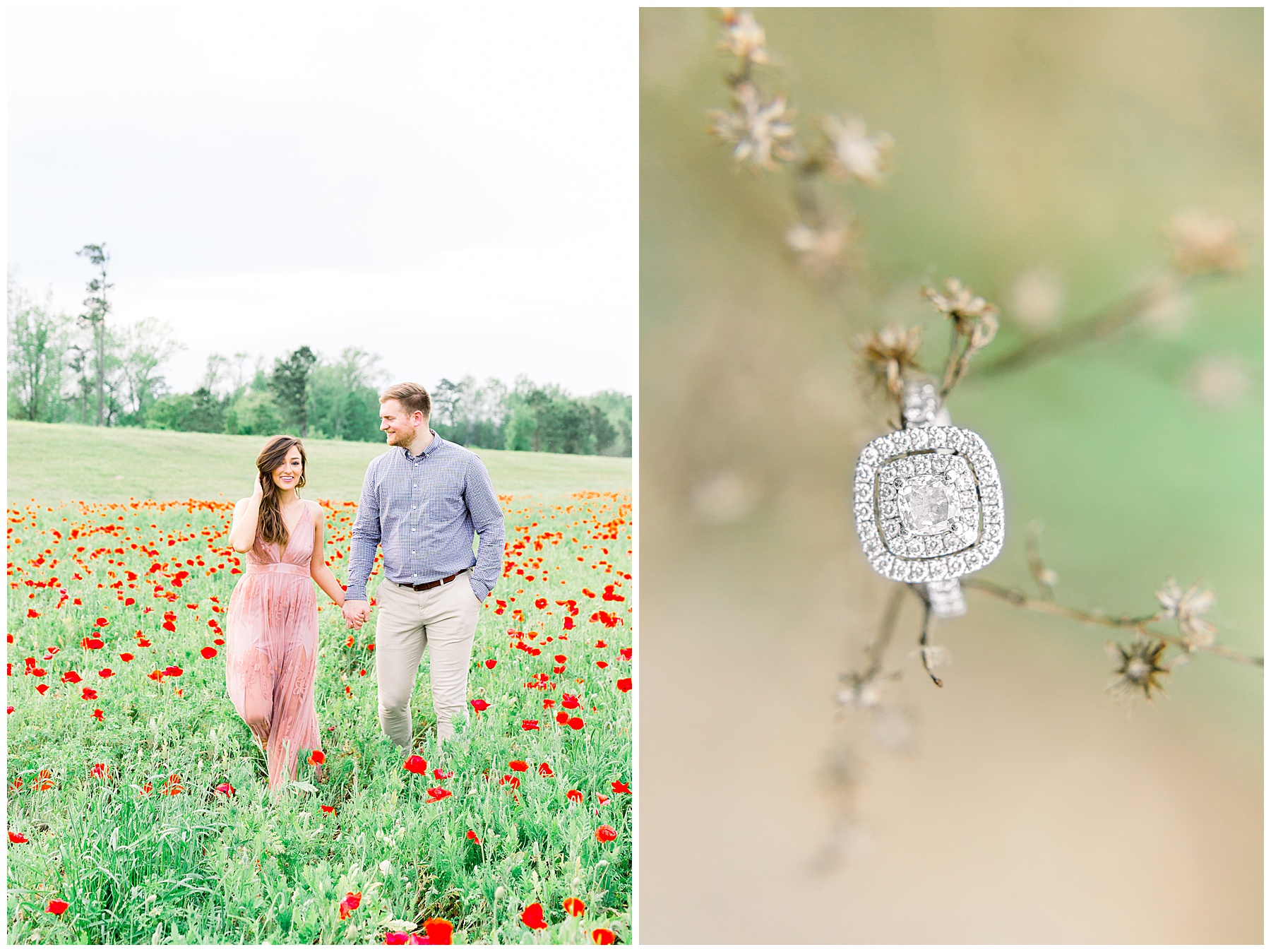 wildflower engagement session - tiffany l johnson photography_0062.jpg wildflower engagement session - tiffany l johnson photography_0062.jpg