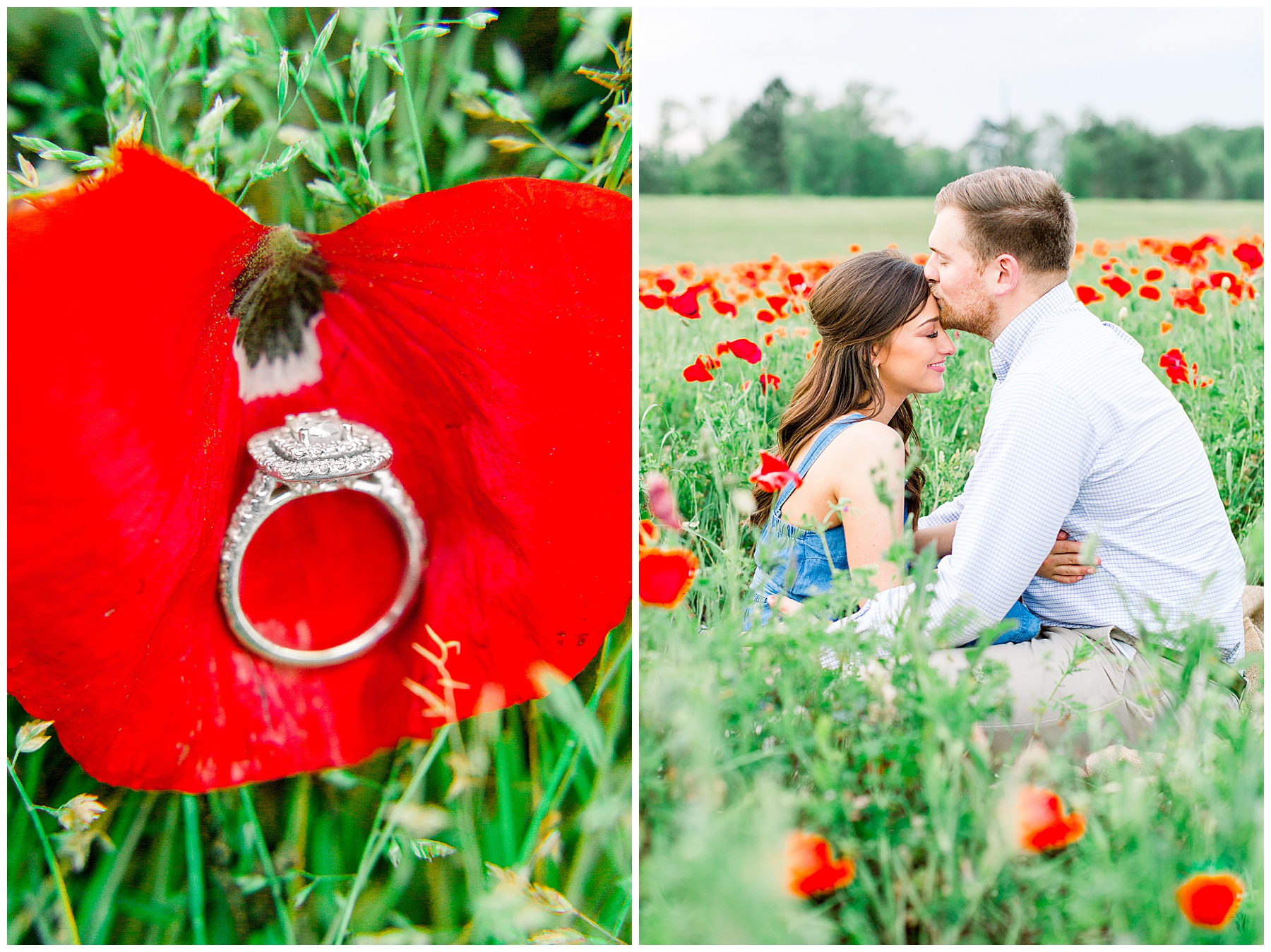 wildflower engagement session - tiffany l johnson photography_0074.jpg wildflower engagement session - tiffany l johnson photography_0074.jpg
