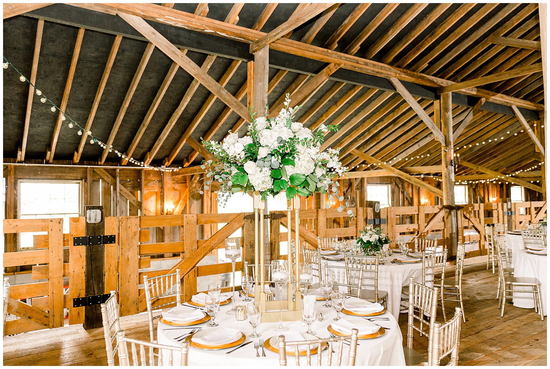 May Lew Farm Wedding - Farmville NC Wedding - Tiffany L Johnson Photography_0160.jpg