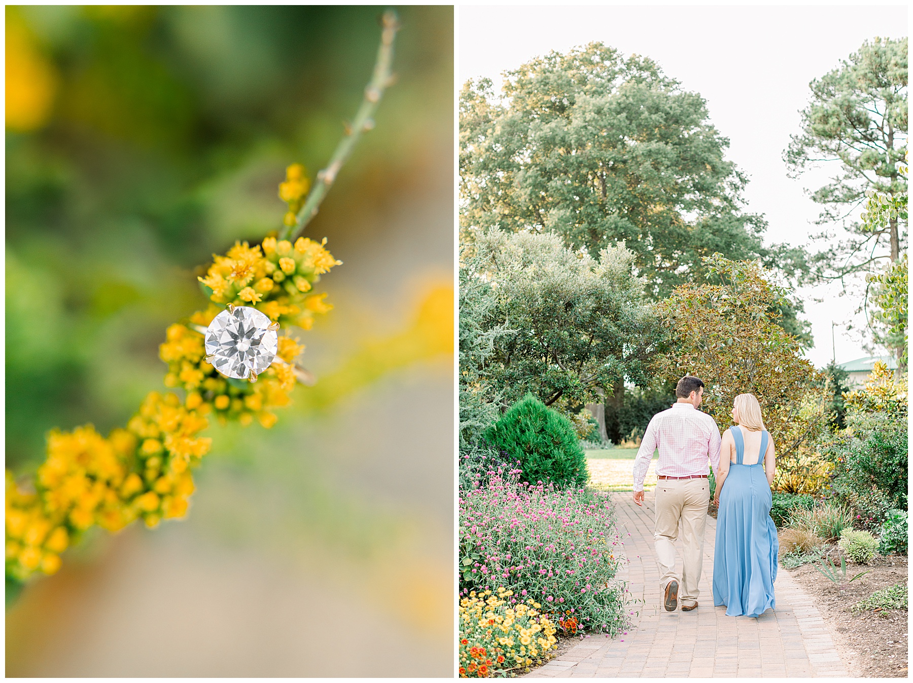 JC Raulston Arborteum Engagement Session - NC State Engagement Session - Tiffany L Johnson Photography_0035.jpg