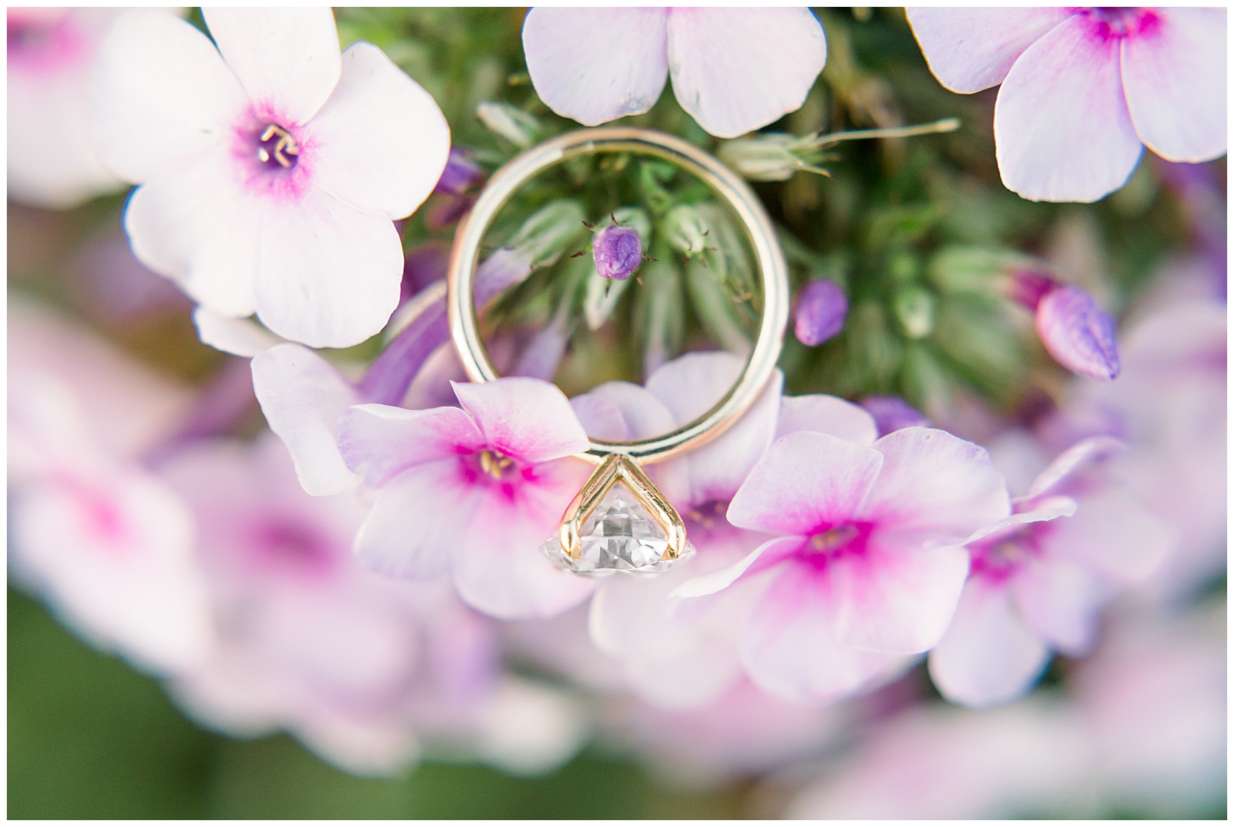 JC Raulston Arborteum Engagement Session - NC State Engagement Session - Tiffany L Johnson Photography_0040.jpg