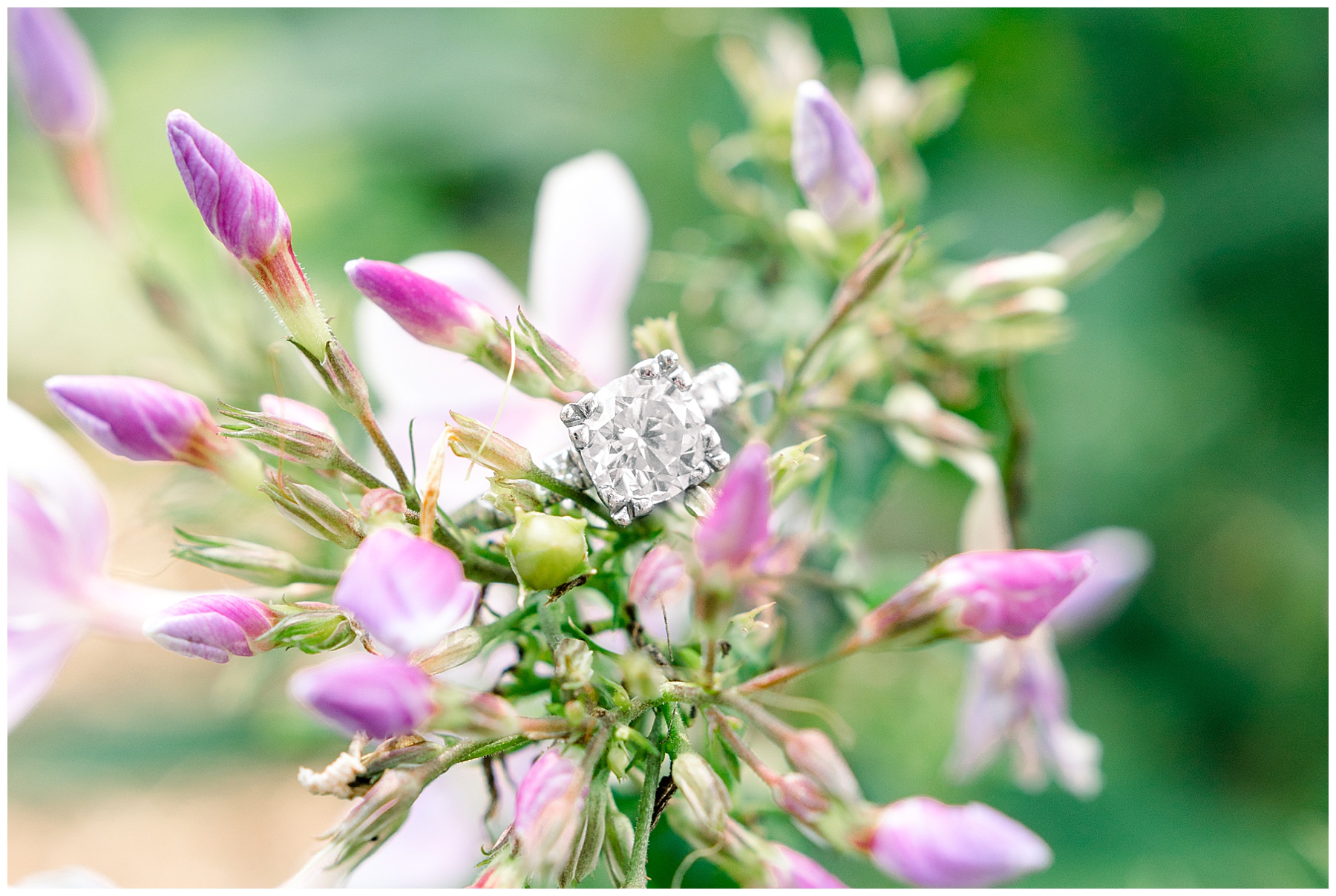 Tarboro NC Engagement Session - Tarboro Wedding Photographer- Tiffany L Johnson Photographer_0003.jpg