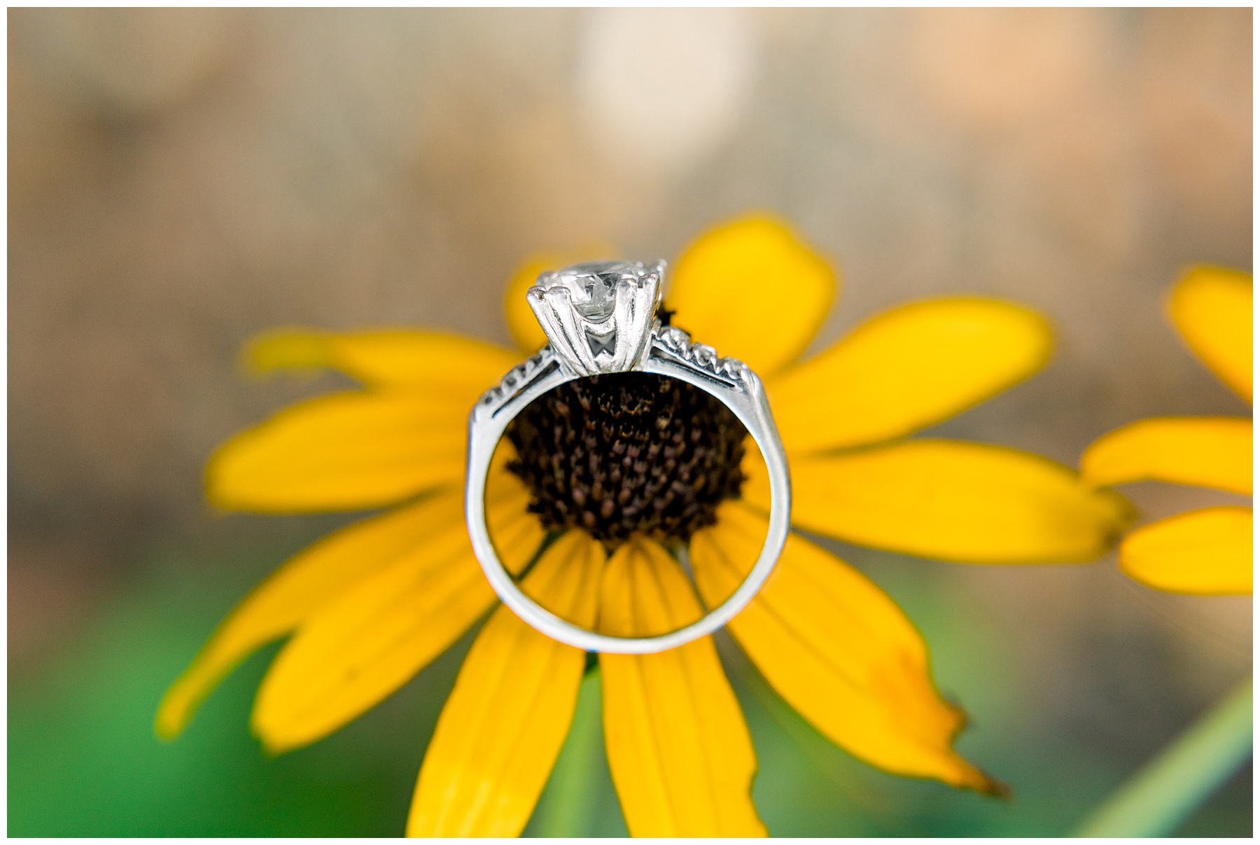 Tarboro NC Engagement Session - Tarboro Wedding Photographer- Tiffany L Johnson Photographer_0007.jpg