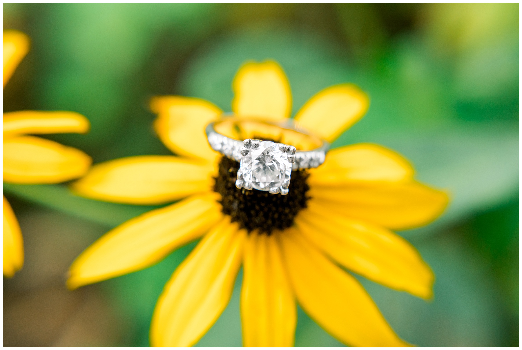 Tarboro NC Engagement Session - Tarboro Wedding Photographer- Tiffany L Johnson Photographer_0039.jpg