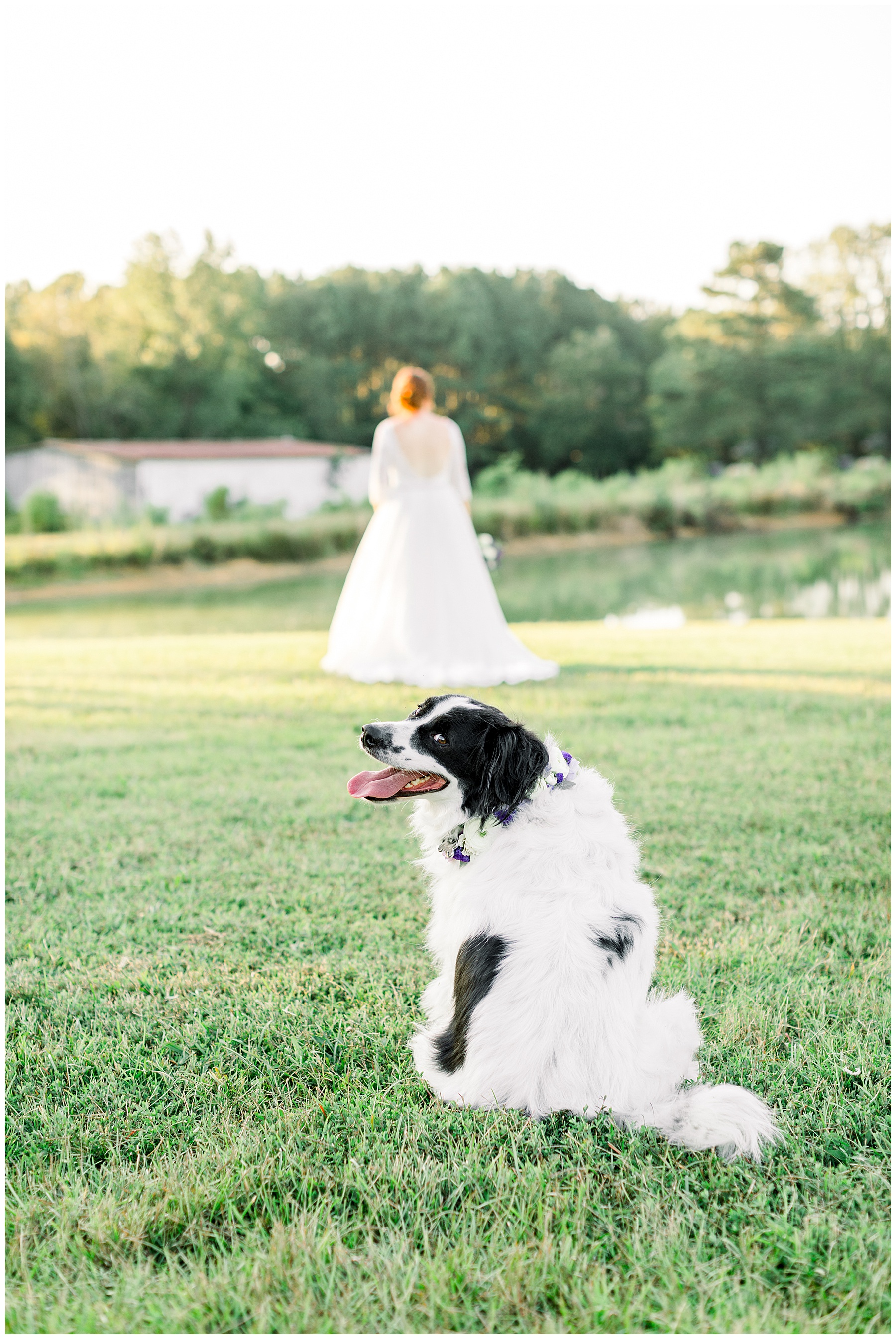 Pavilion at Carriage Farm Bridal Session - Raleigh NC Wedding Photographer - Tiffany L Johnson_0025.jpg