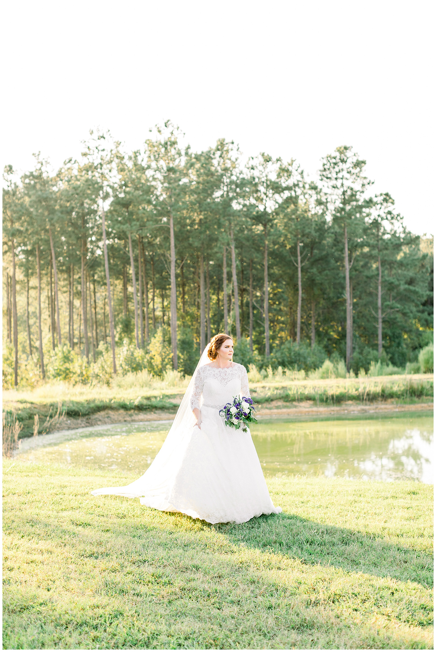 Pavilion at Carriage Farm Bridal Session - Raleigh NC Wedding Photographer - Tiffany L Johnson_0029.jpg