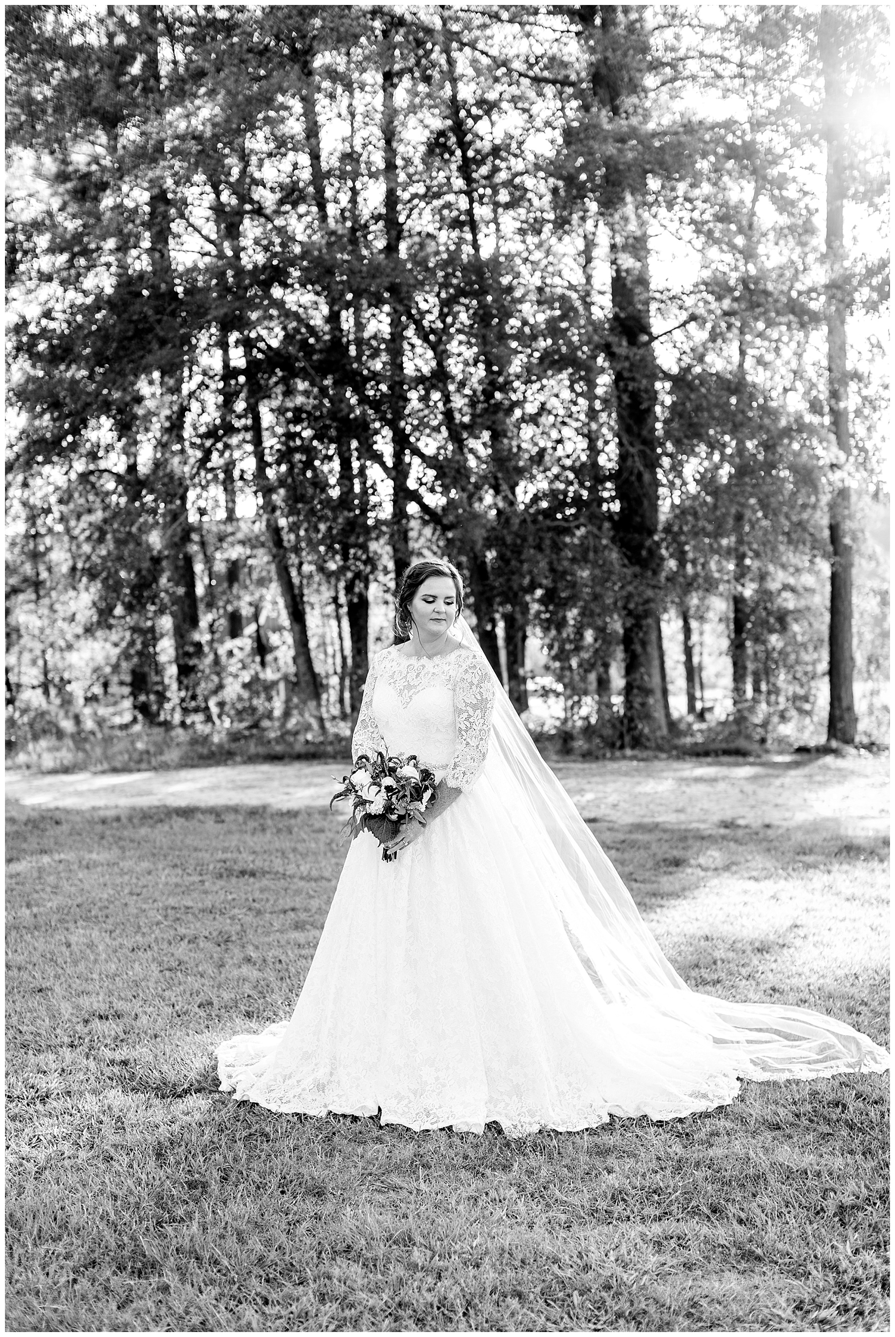 Pavilion at Carriage Farm Bridal Session - Raleigh NC Wedding Photographer - Tiffany L Johnson_0045.jpg