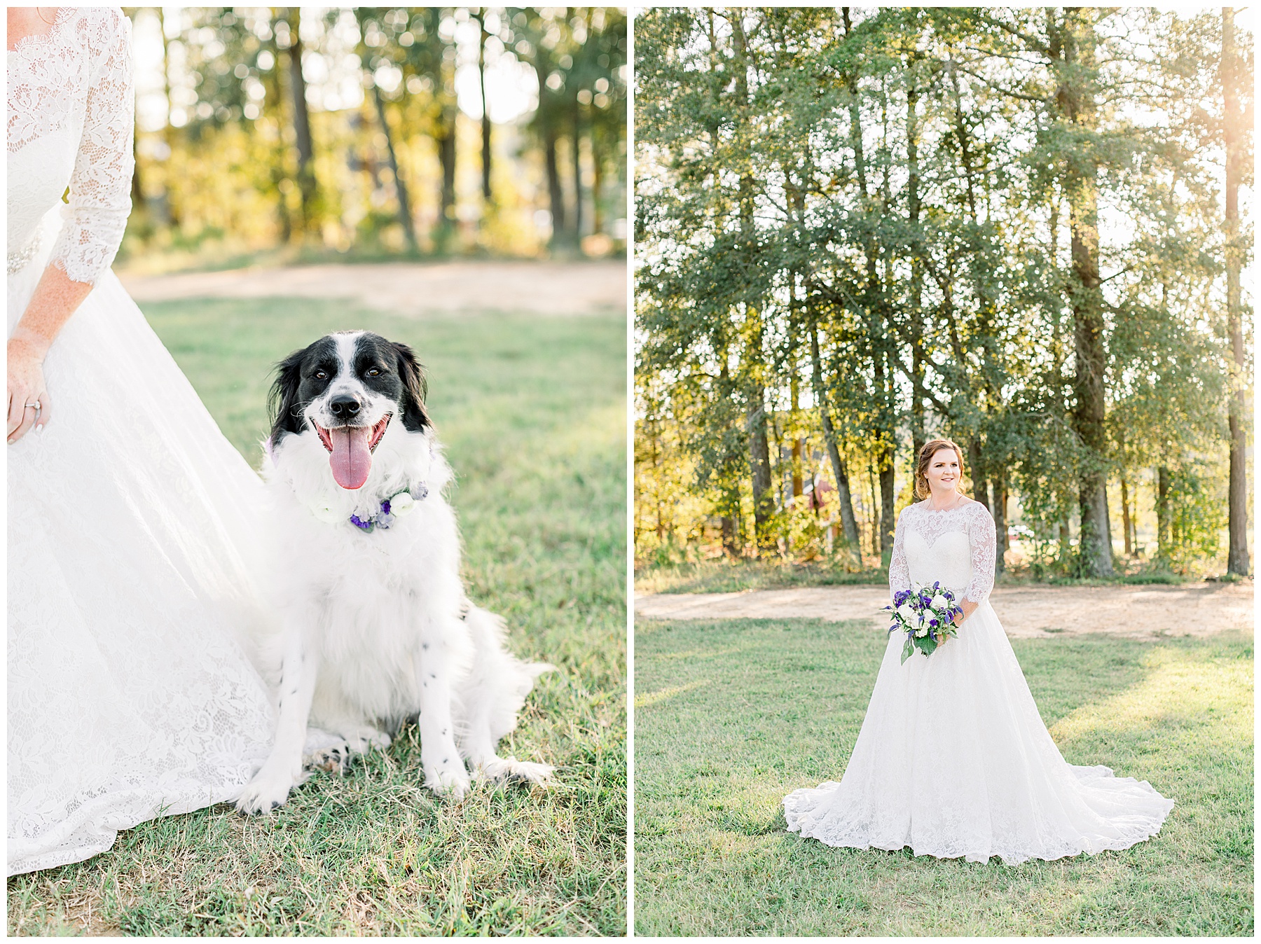 Pavilion at Carriage Farm Bridal Session - Raleigh NC Wedding Photographer - Tiffany L Johnson_0046.jpg