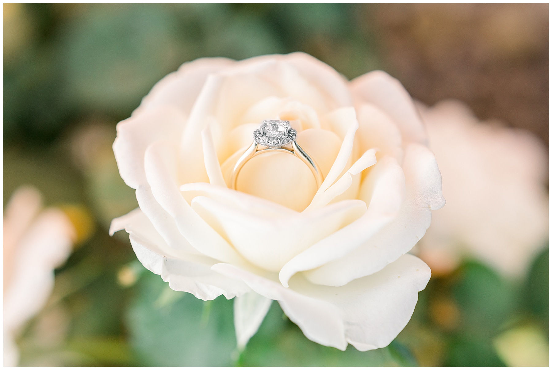 Rose Hill Plantation Wedding - Tiffany L Johnson Photography_0009.jpg