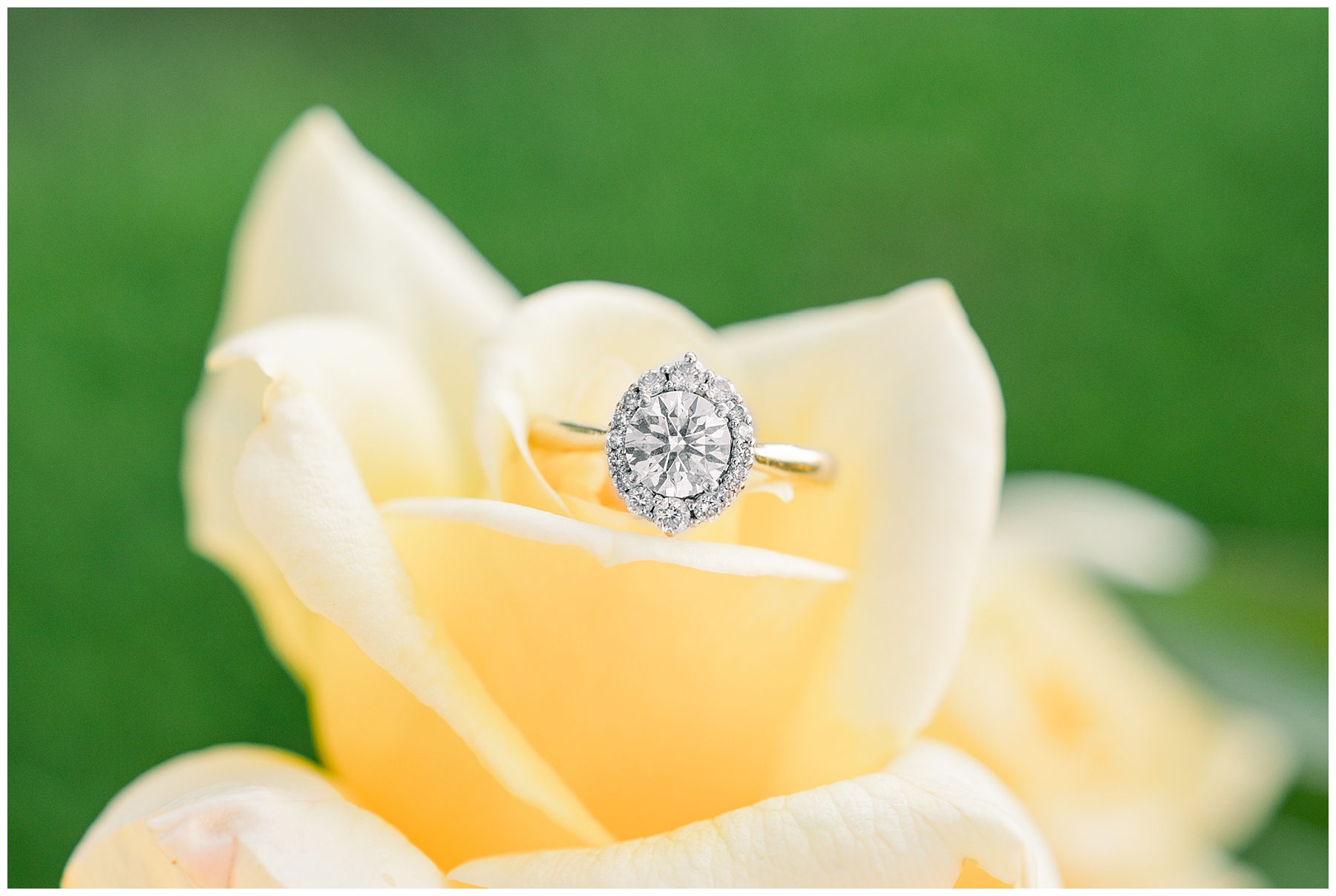 Rose Hill Plantation Wedding - Tiffany L Johnson Photography_0017.jpg