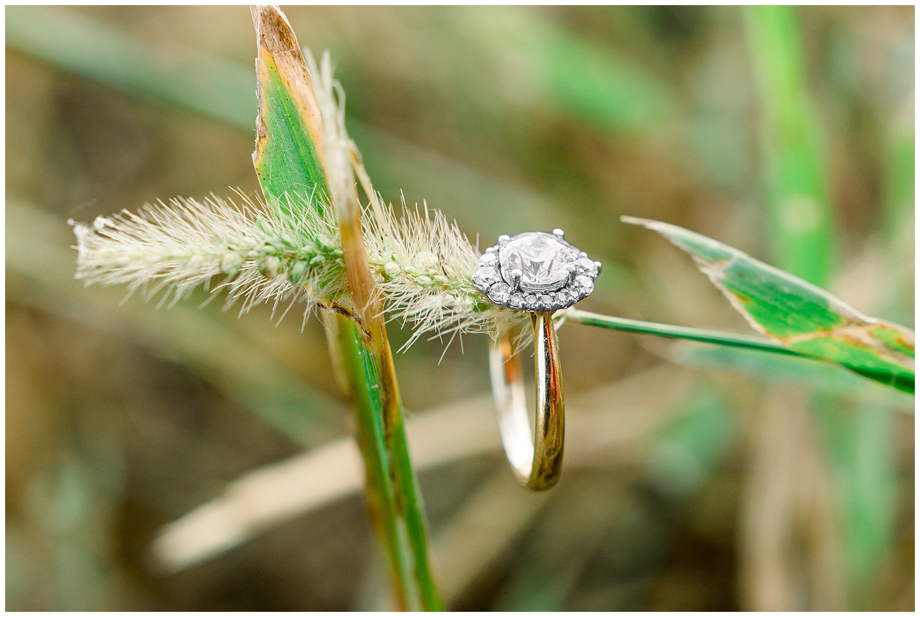 Rose Hill Plantation Wedding - Tiffany L Johnson Photography_0027.jpg